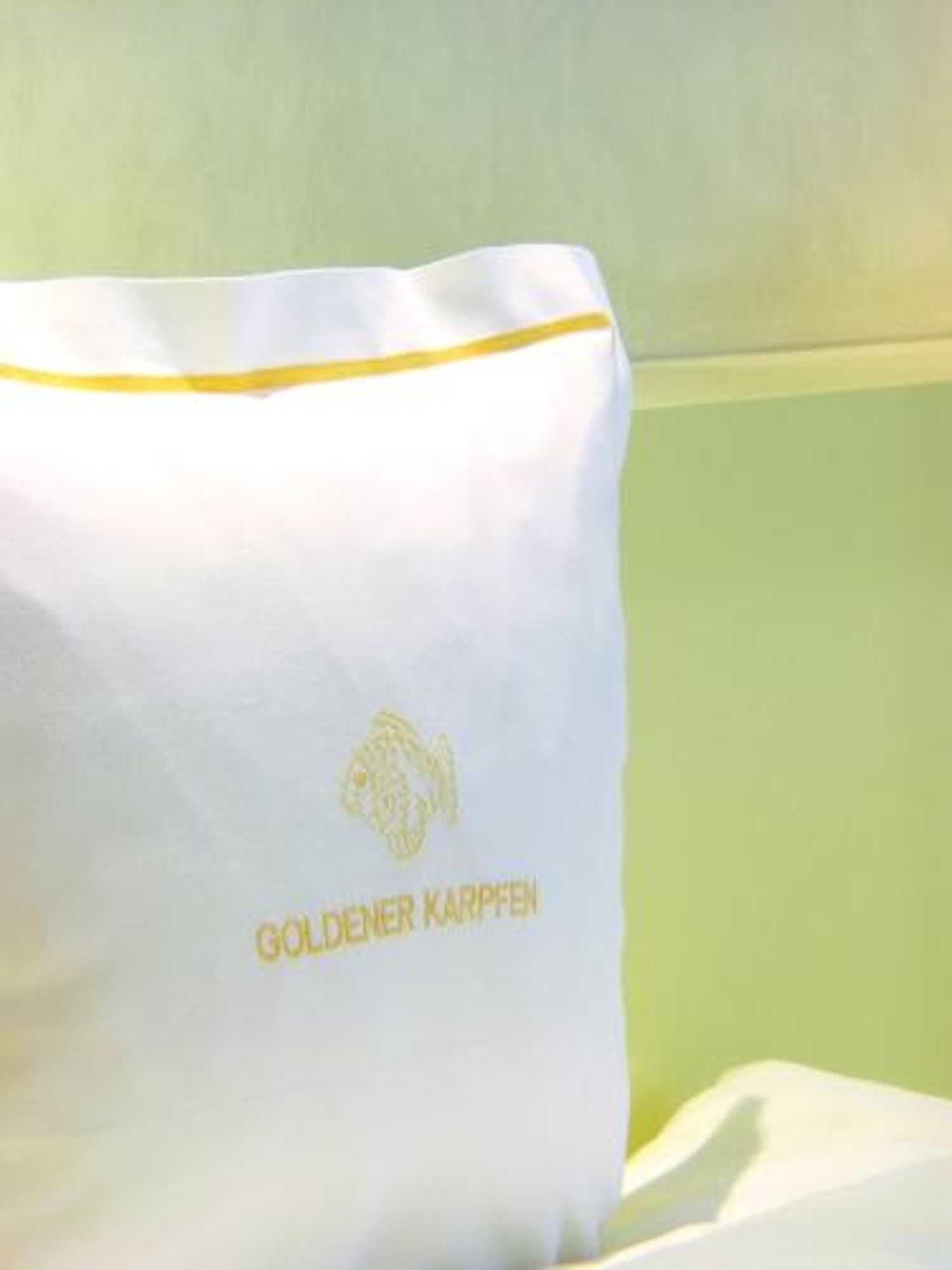 Gift card for Hotel Goldener Karpfen Ohg Gift card for Hotel Goldener Karpfen Ohg
