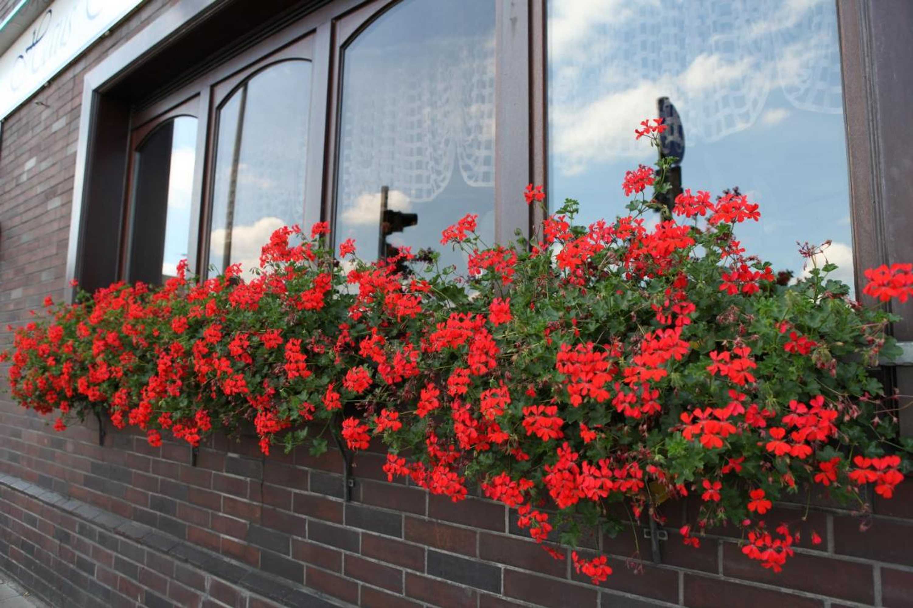 Gift card for Akzent Hotel Oberhausen