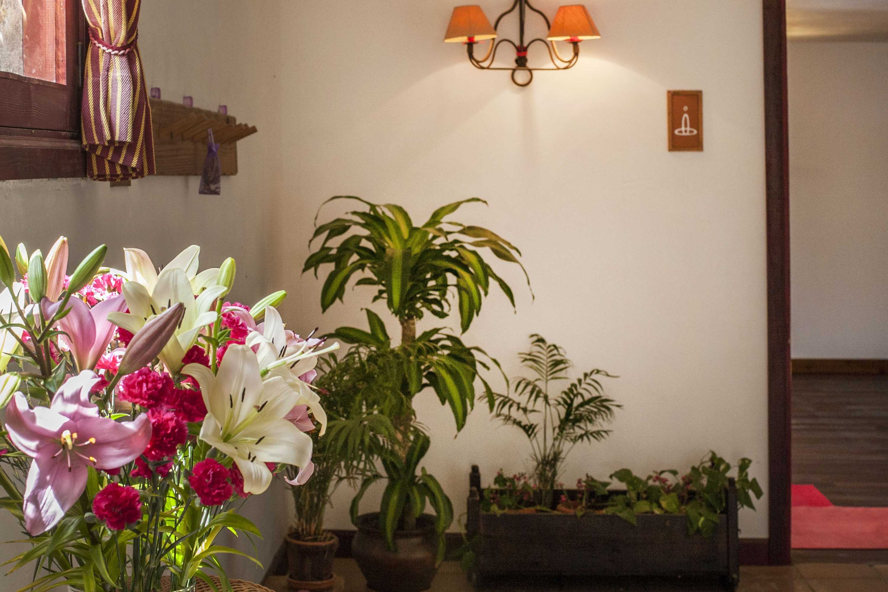 Gift card for Finca Vista Bonita Gift card for Finca Vista Bonita