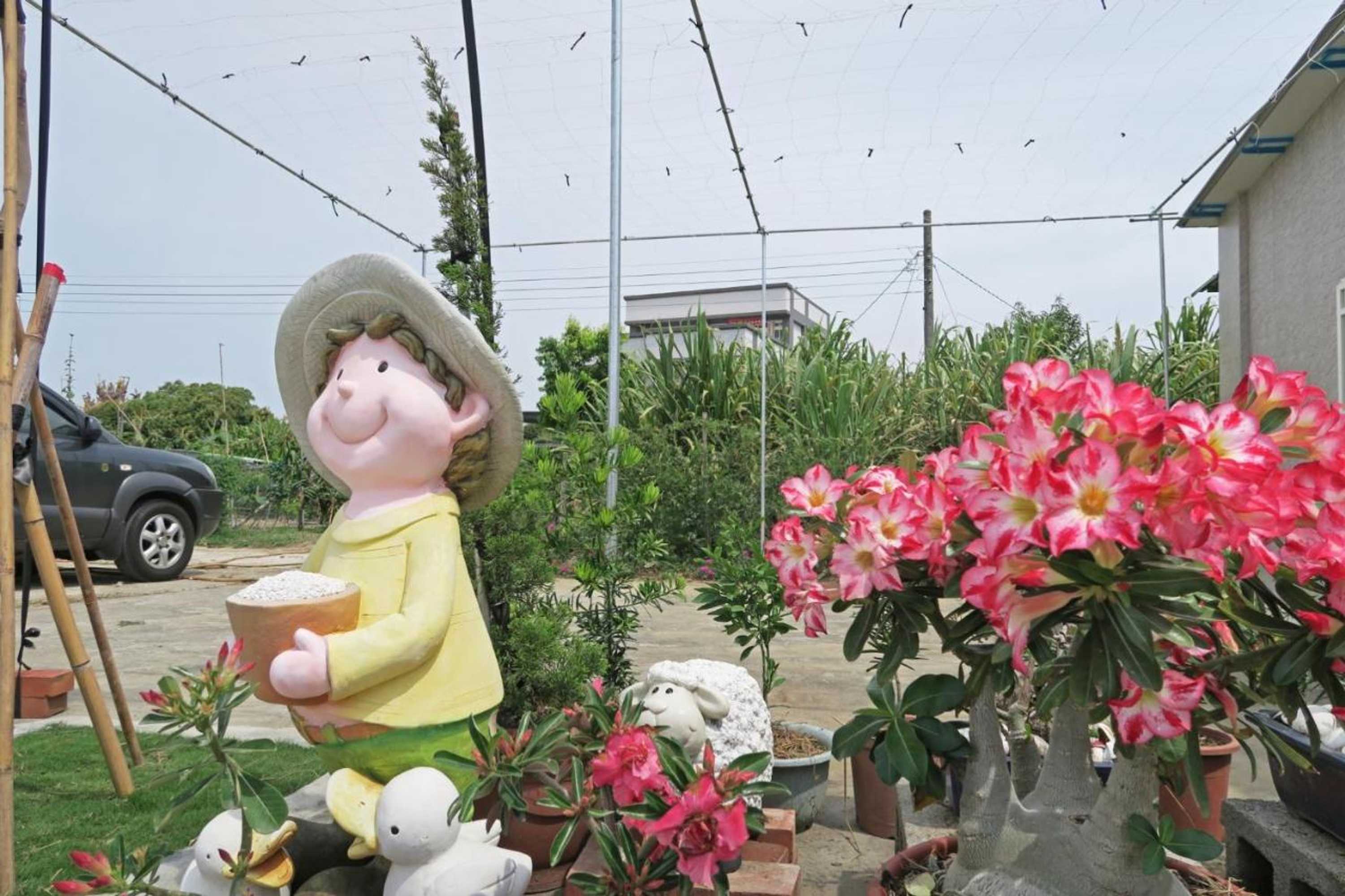 Gift card for Chiayi Bo An Ju Homestay