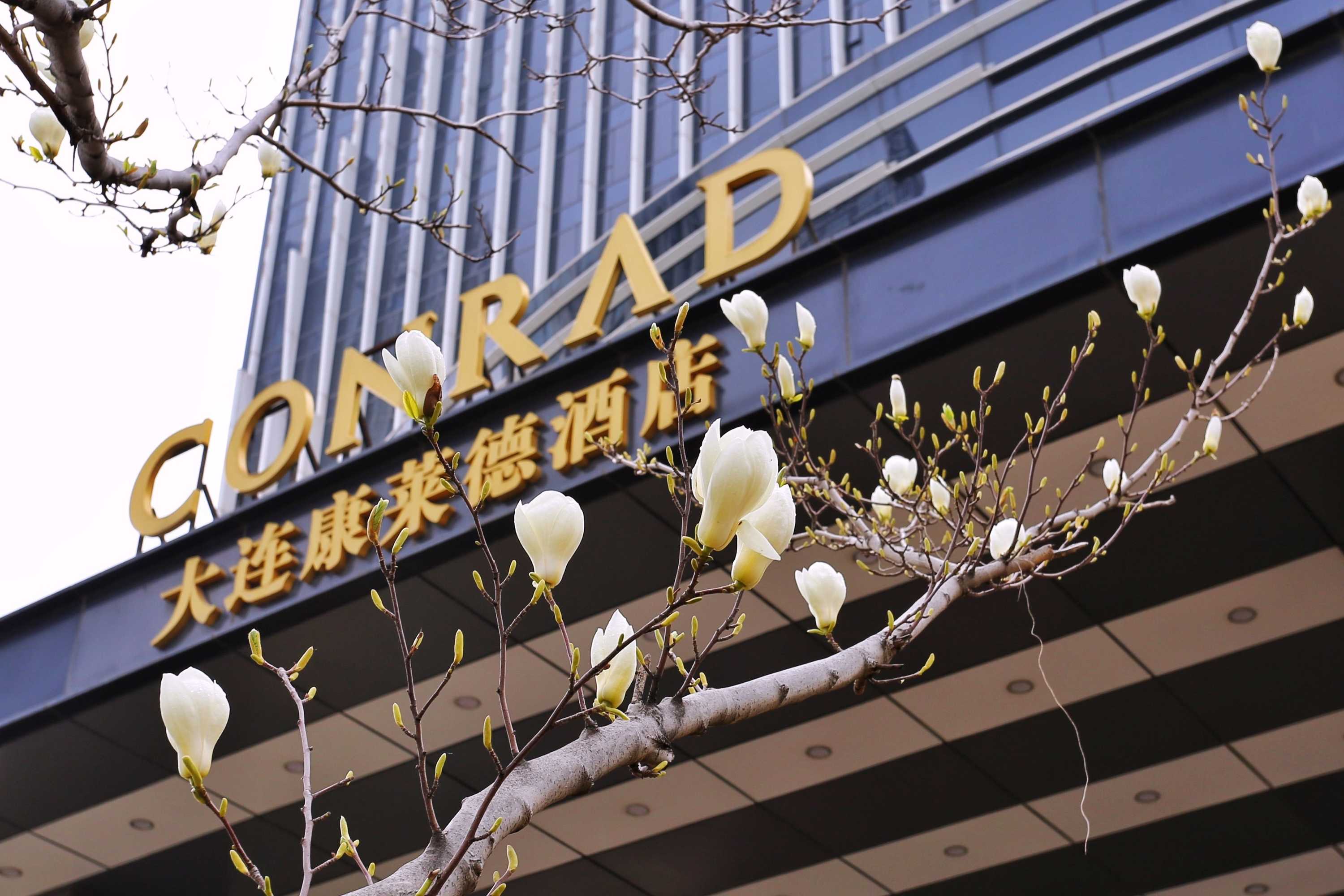 Gift card for Conrad Dalian