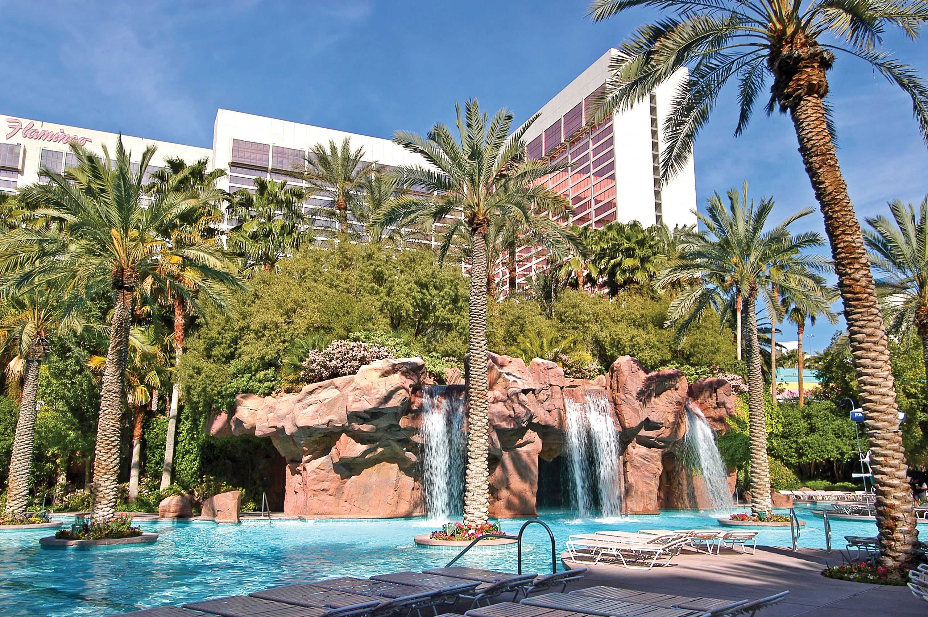 Gift card for Flamingo Las Vegas Hotel & Casino Gift card for Flamingo Las Vegas Hotel & Casino