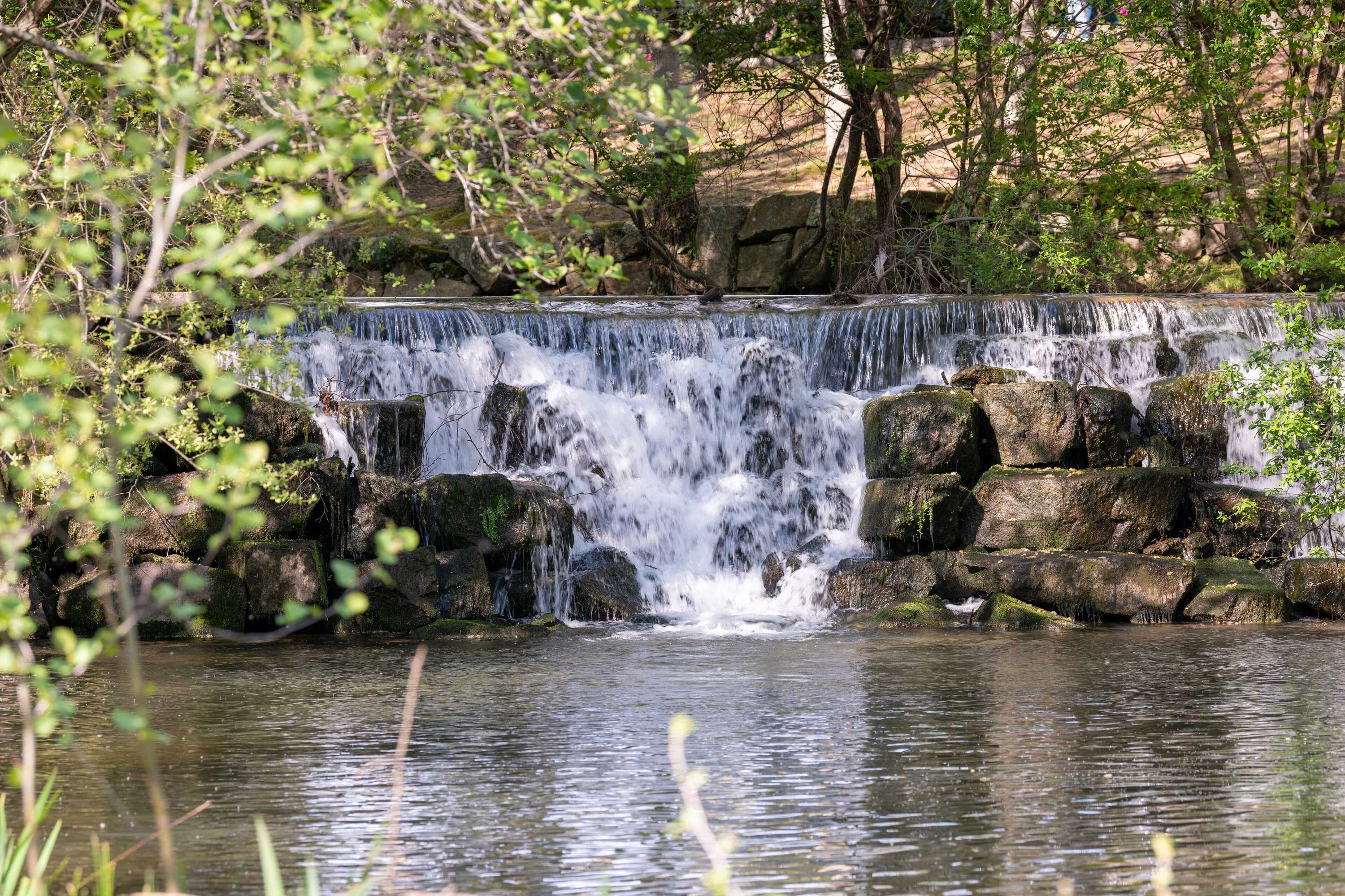 Gift card for AS São João da Madeira