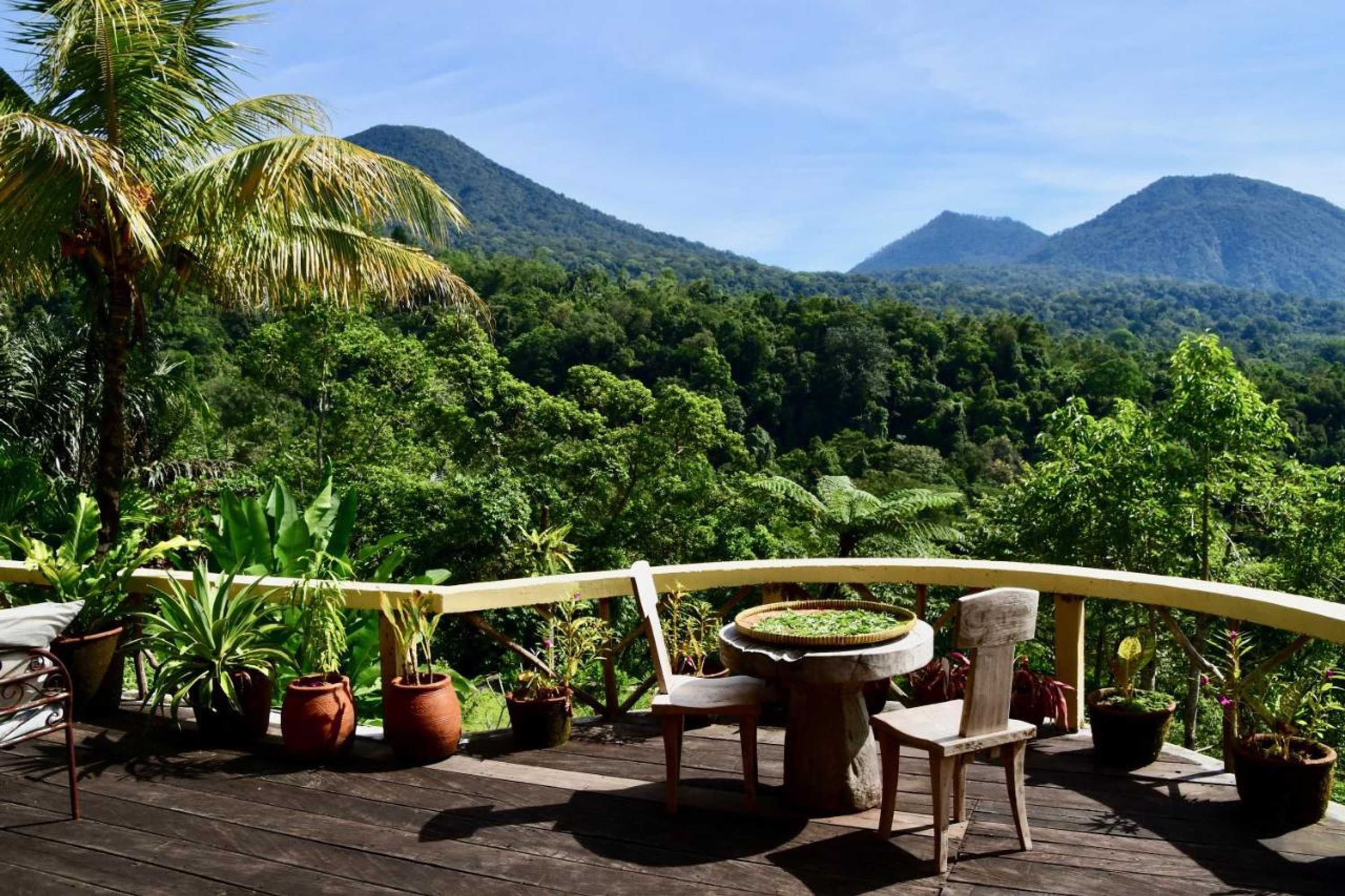 Gift card for Dwan Tea Mountain Side