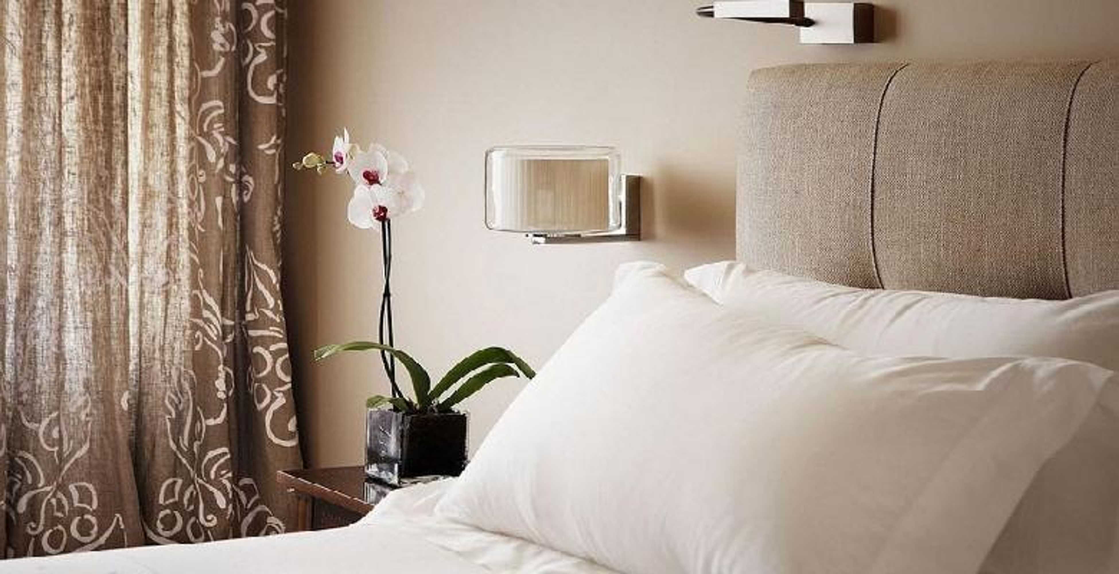 Gift card for Hotel Rector Gift card for Hotel Rector