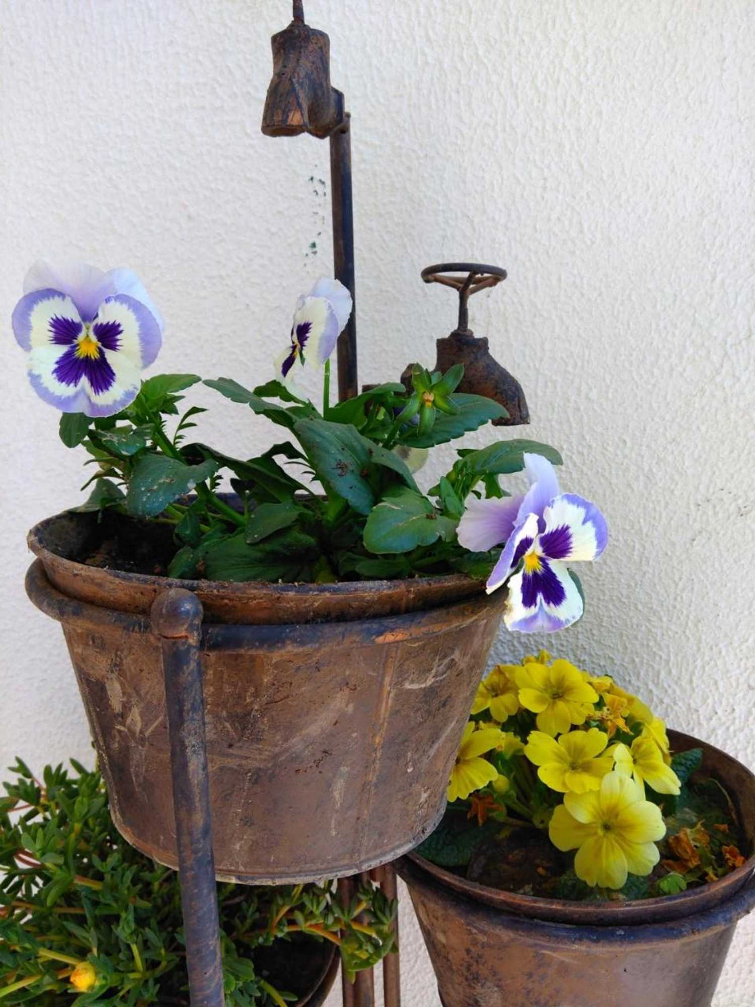 Gift card for Quinta do Sol