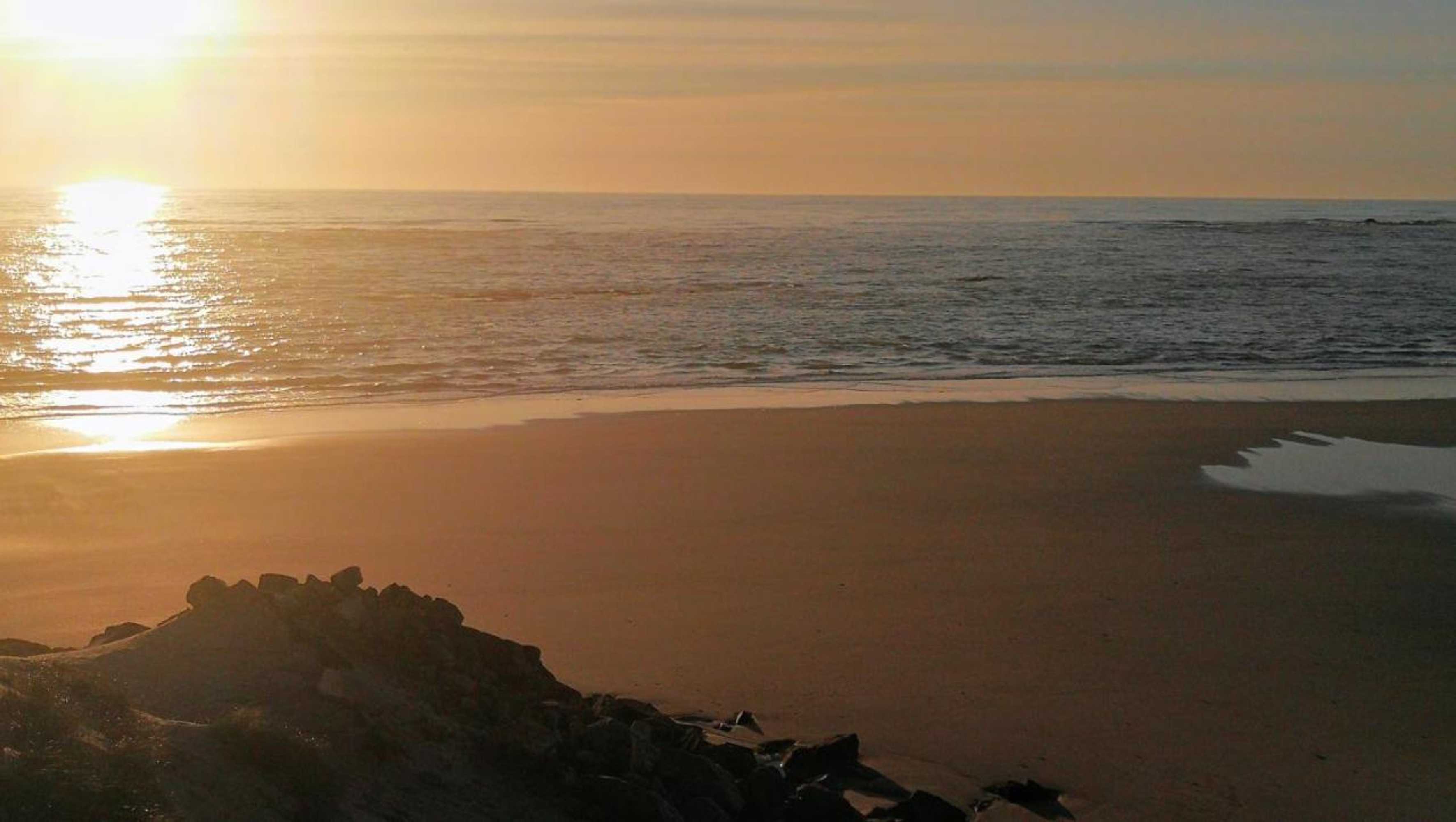 Gift card for Casa Colmeia