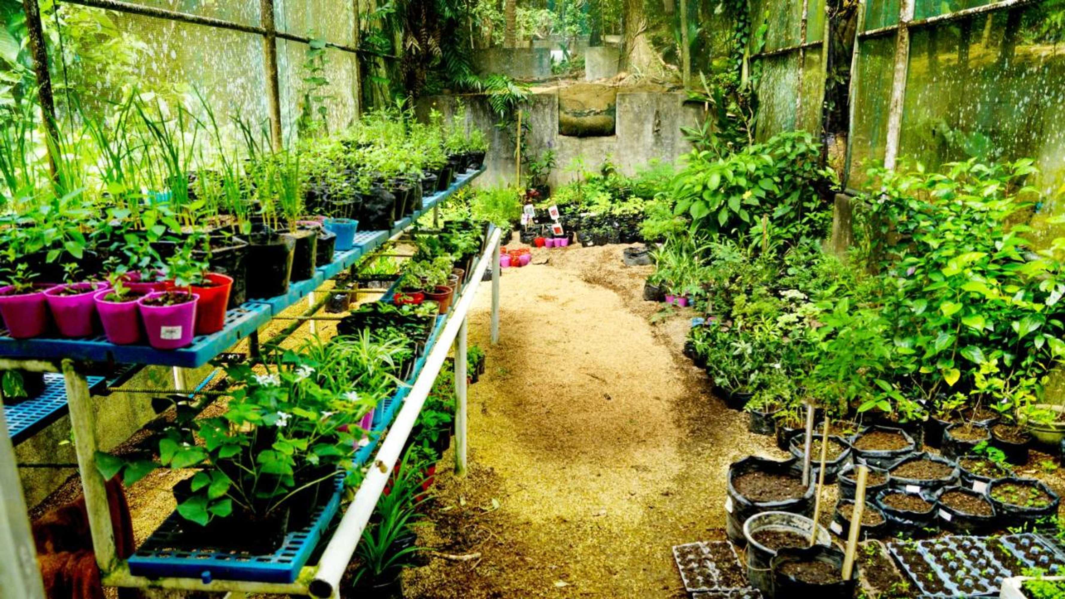 Gift card for Mirisbiris Garden And Nature Center