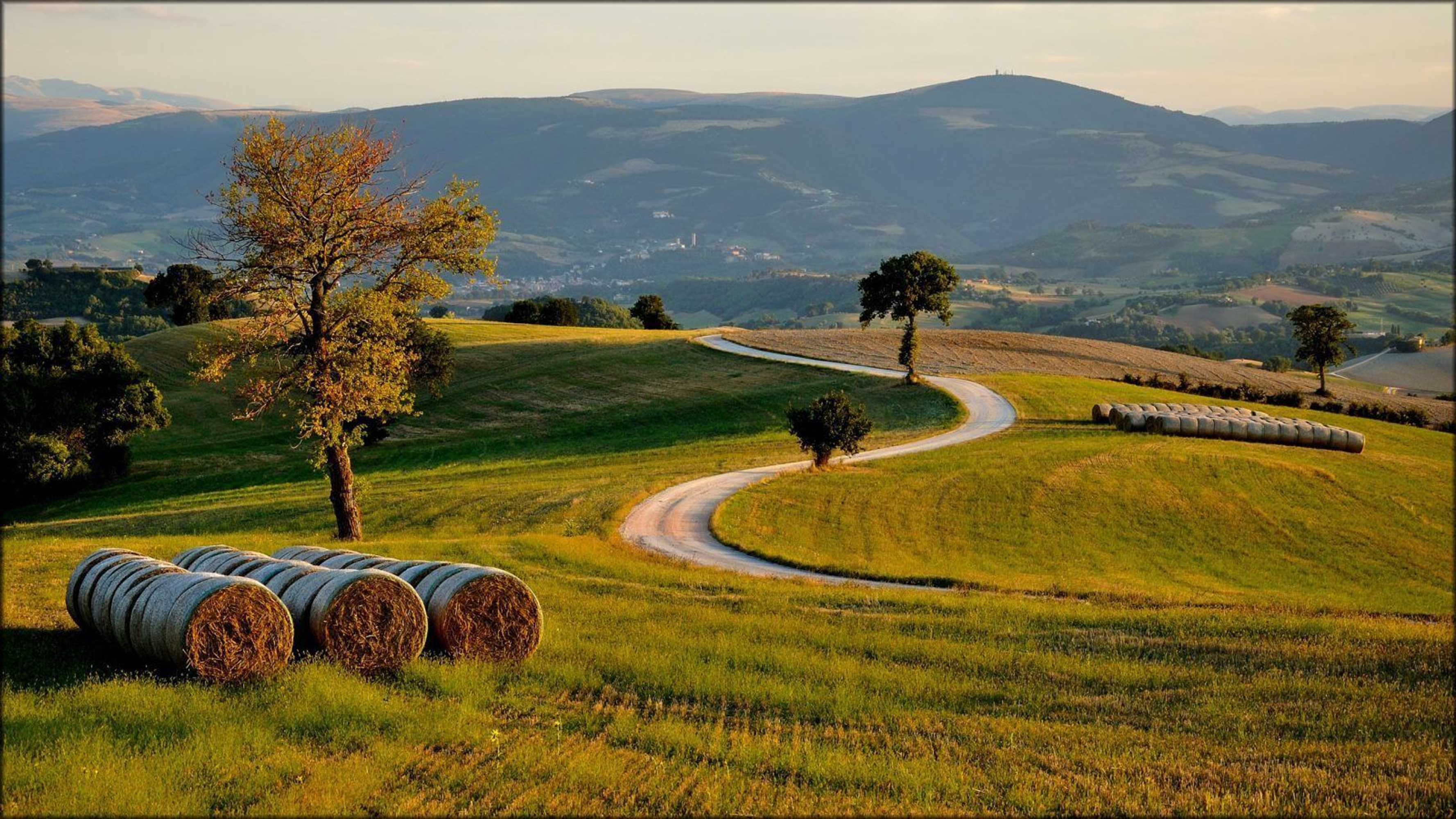 Gift card for Amico Country House Gift card for Amico Country House