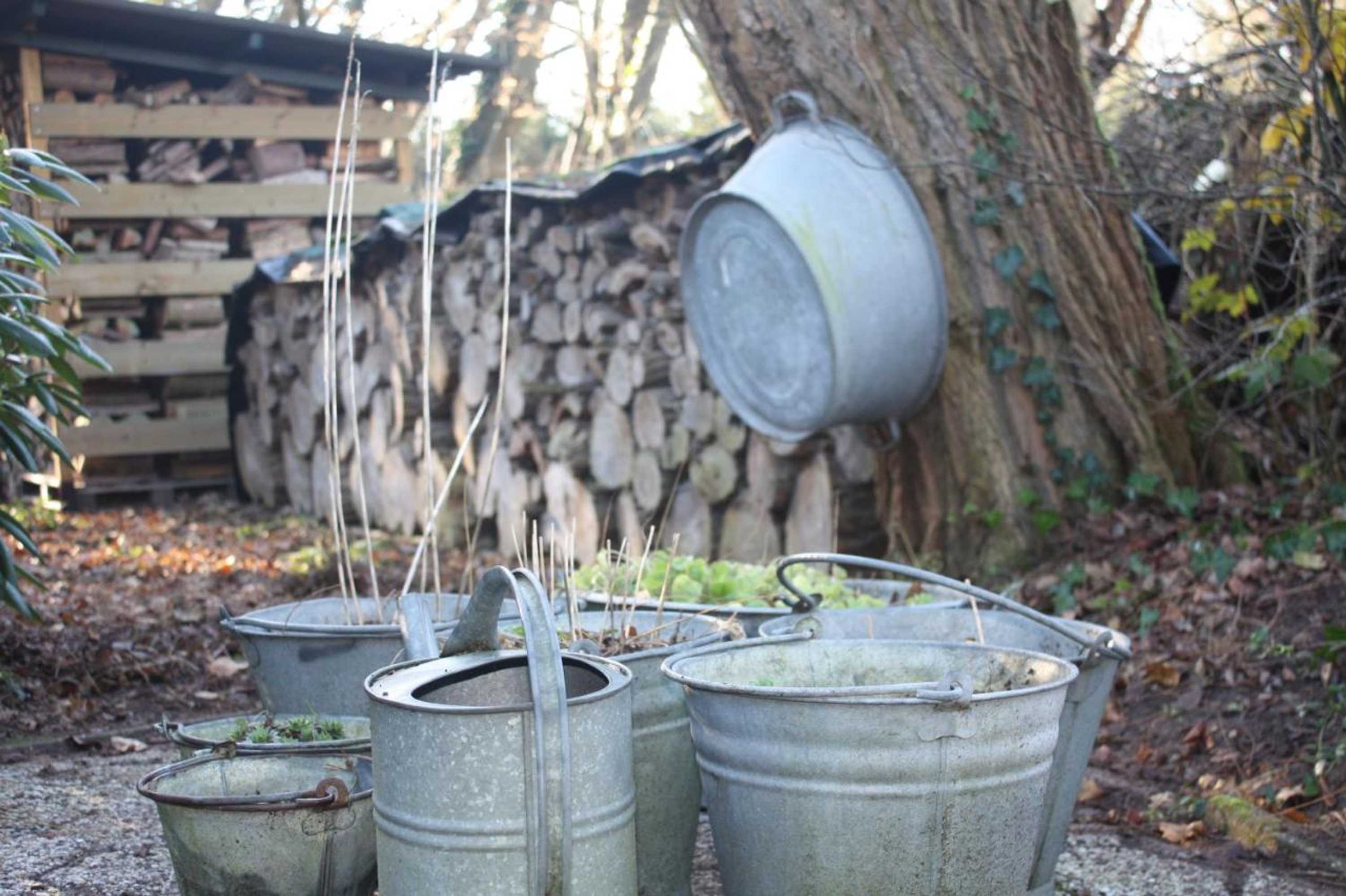 Gift card for B&b Schipborg