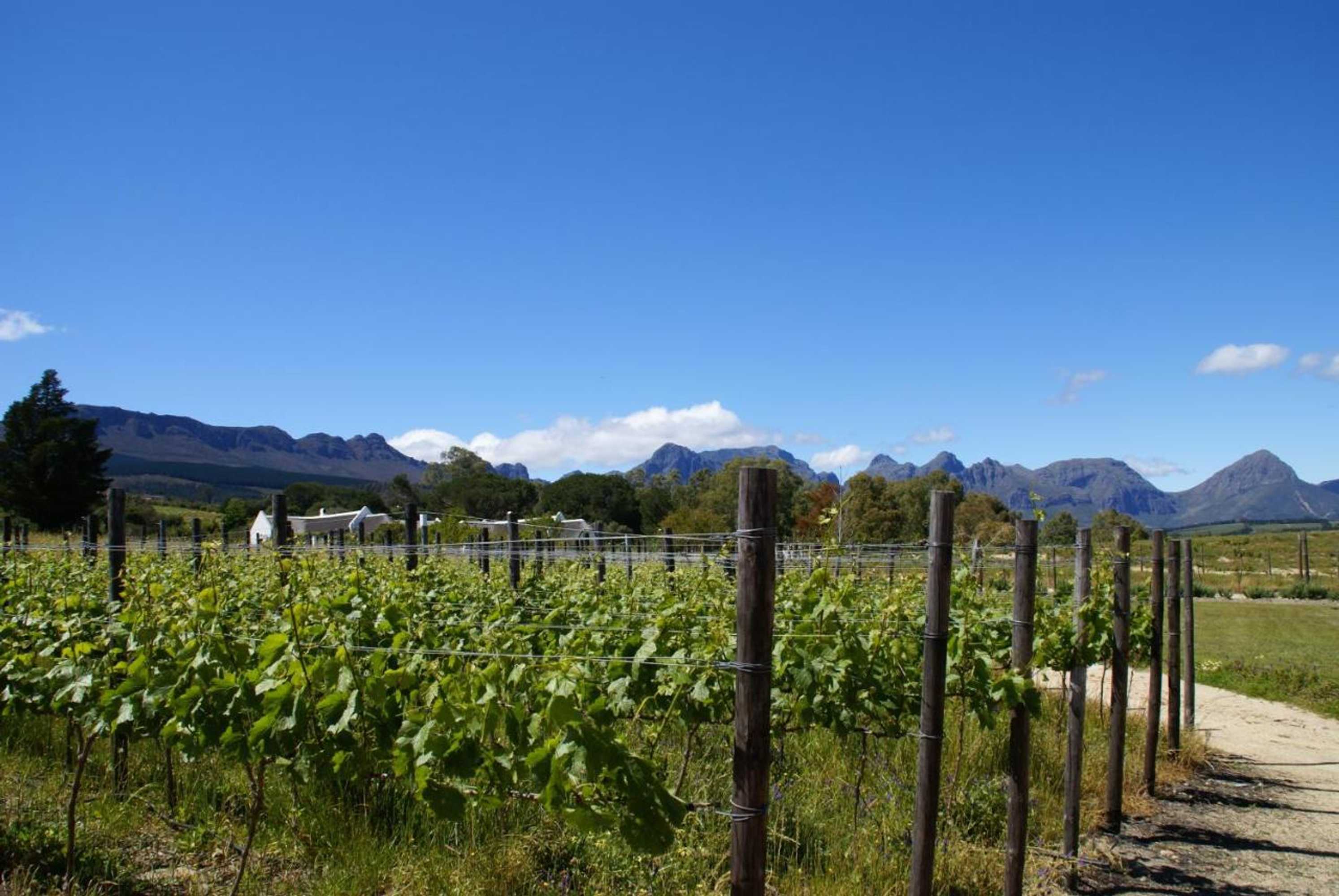 Gift card for Mooi Bly