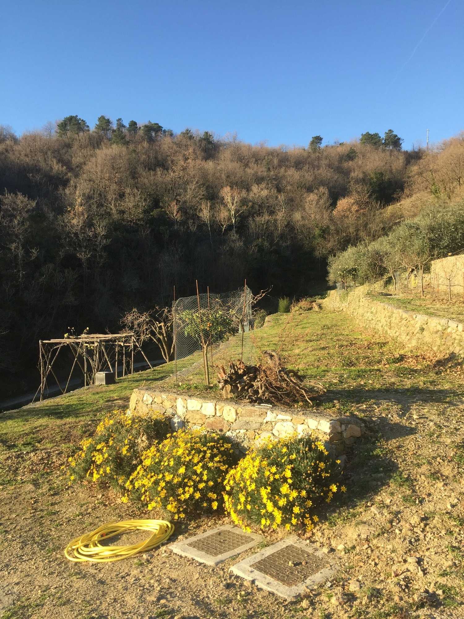 Gift card for Joie de Vivre