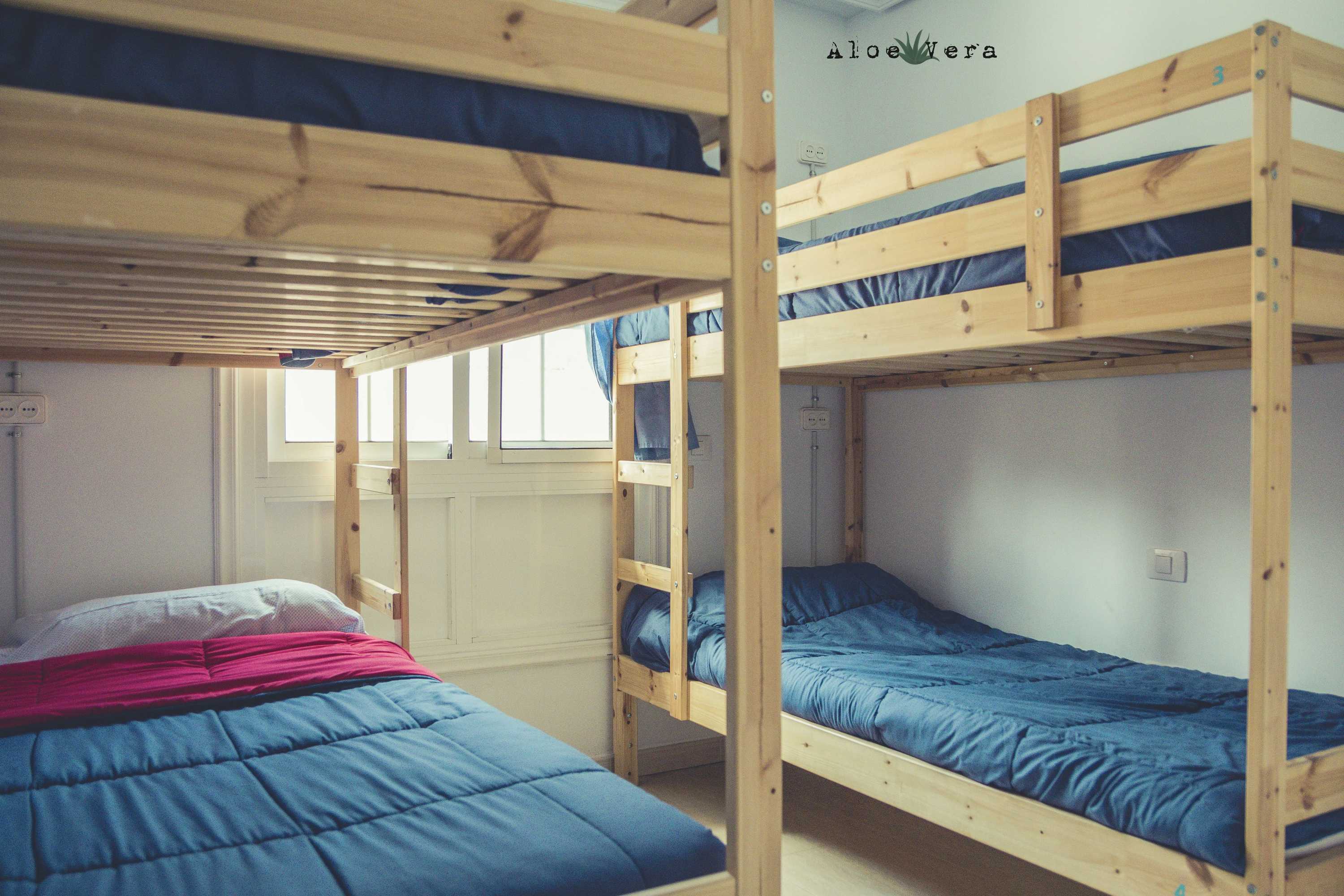 Gift card for Aloe Vera Shared House - Hostel Gift card for Aloe Vera Shared House - Hostel