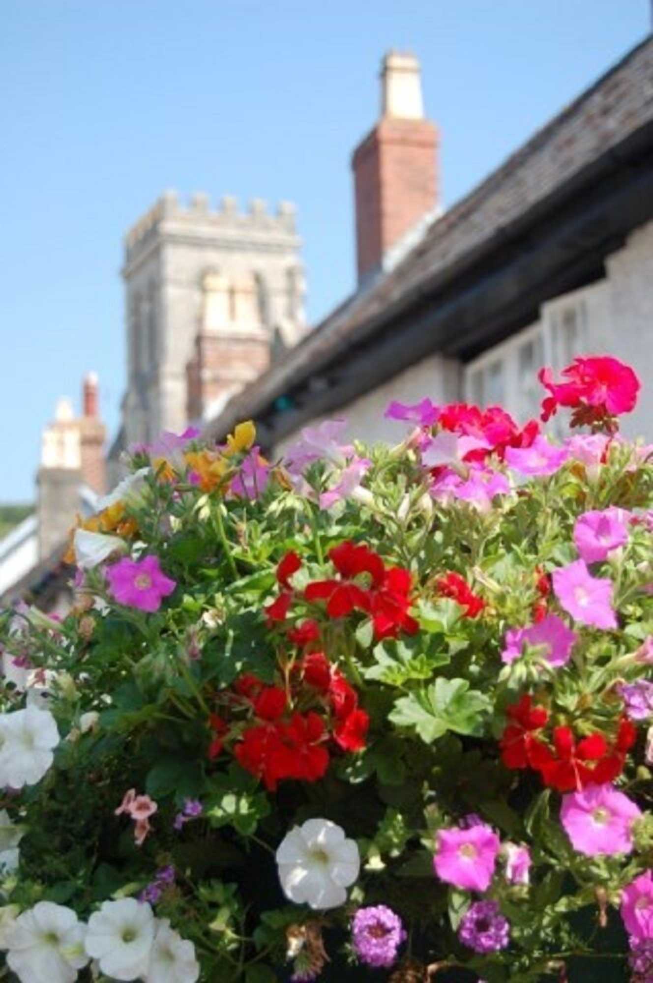 Gift card for Belmont House Beer - Adults Only