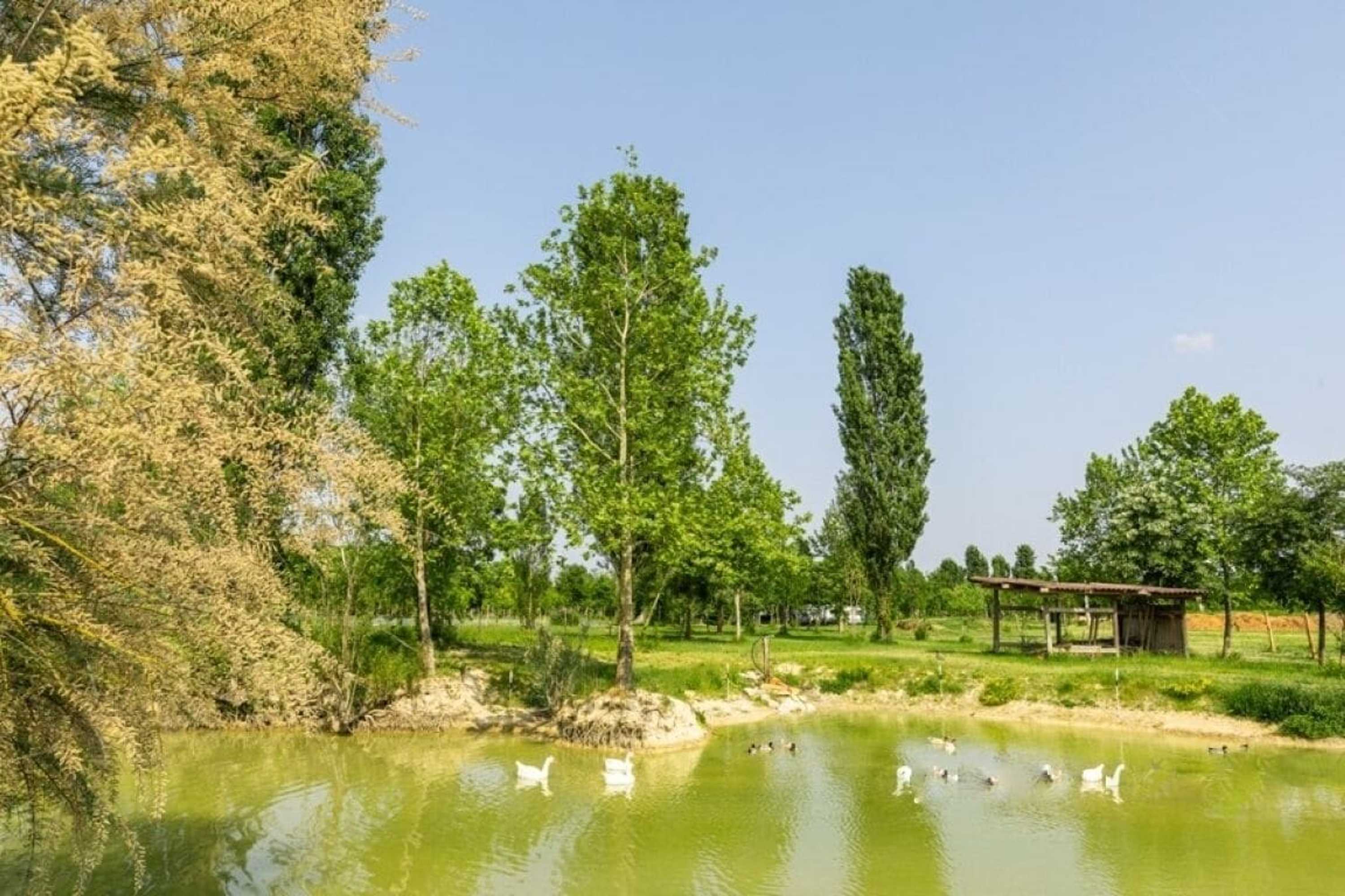 Gift card for Agriturismo La Buona Terra Bio Gift card for Agriturismo La Buona Terra Bio