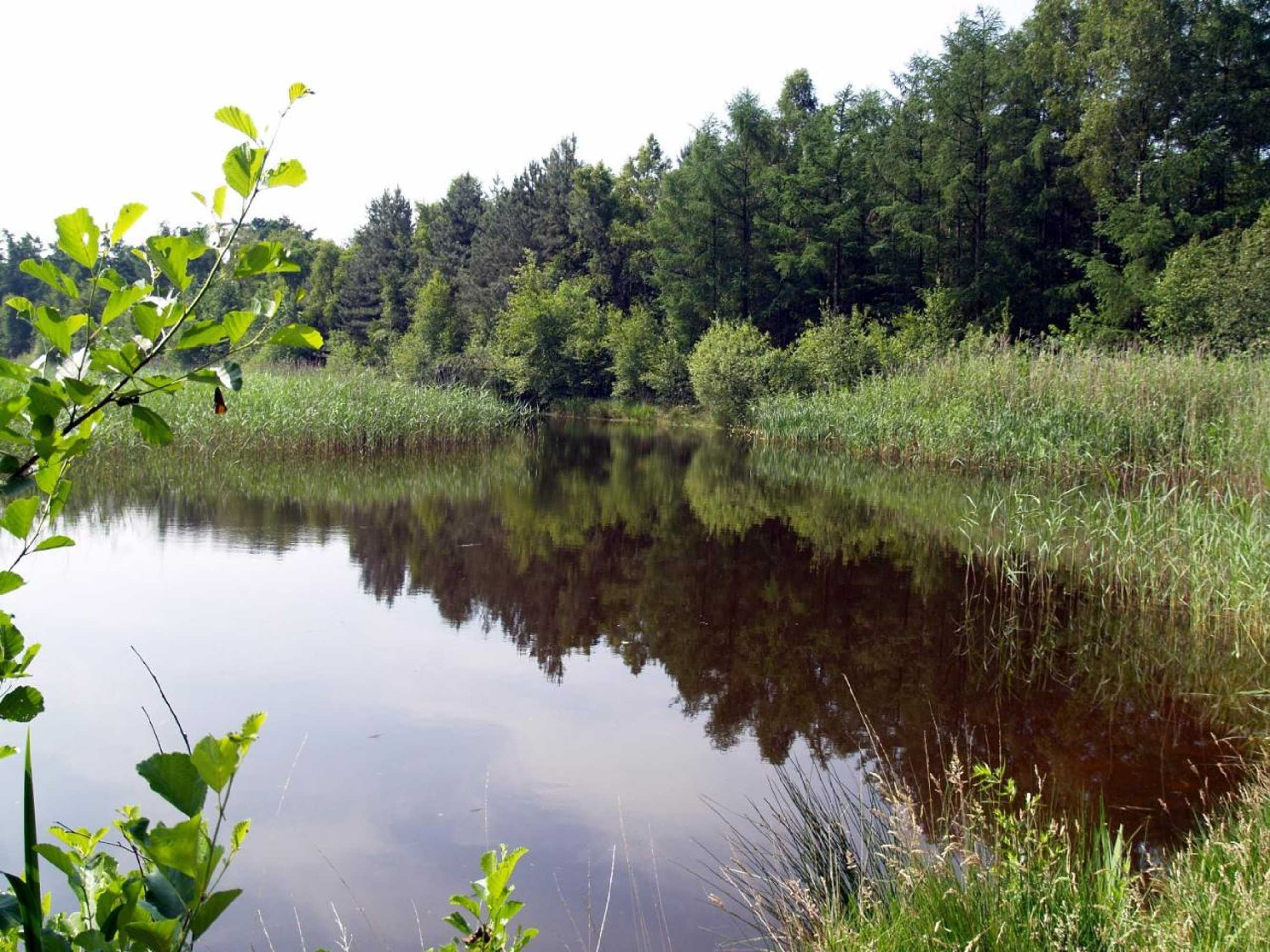 Gift card for Lokven Hoeve