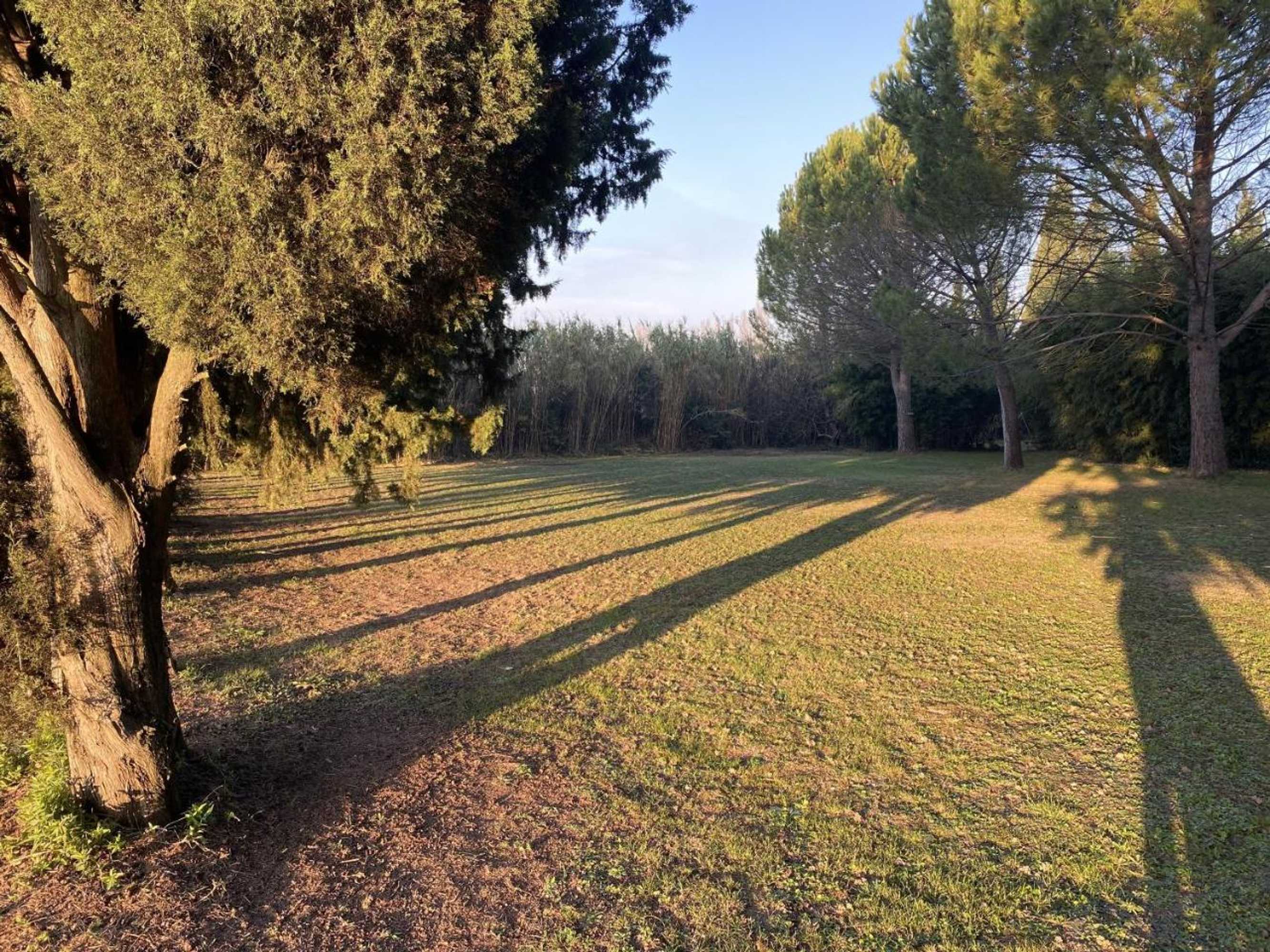 Gift card for Mas La Pauline Gift card for Mas La Pauline