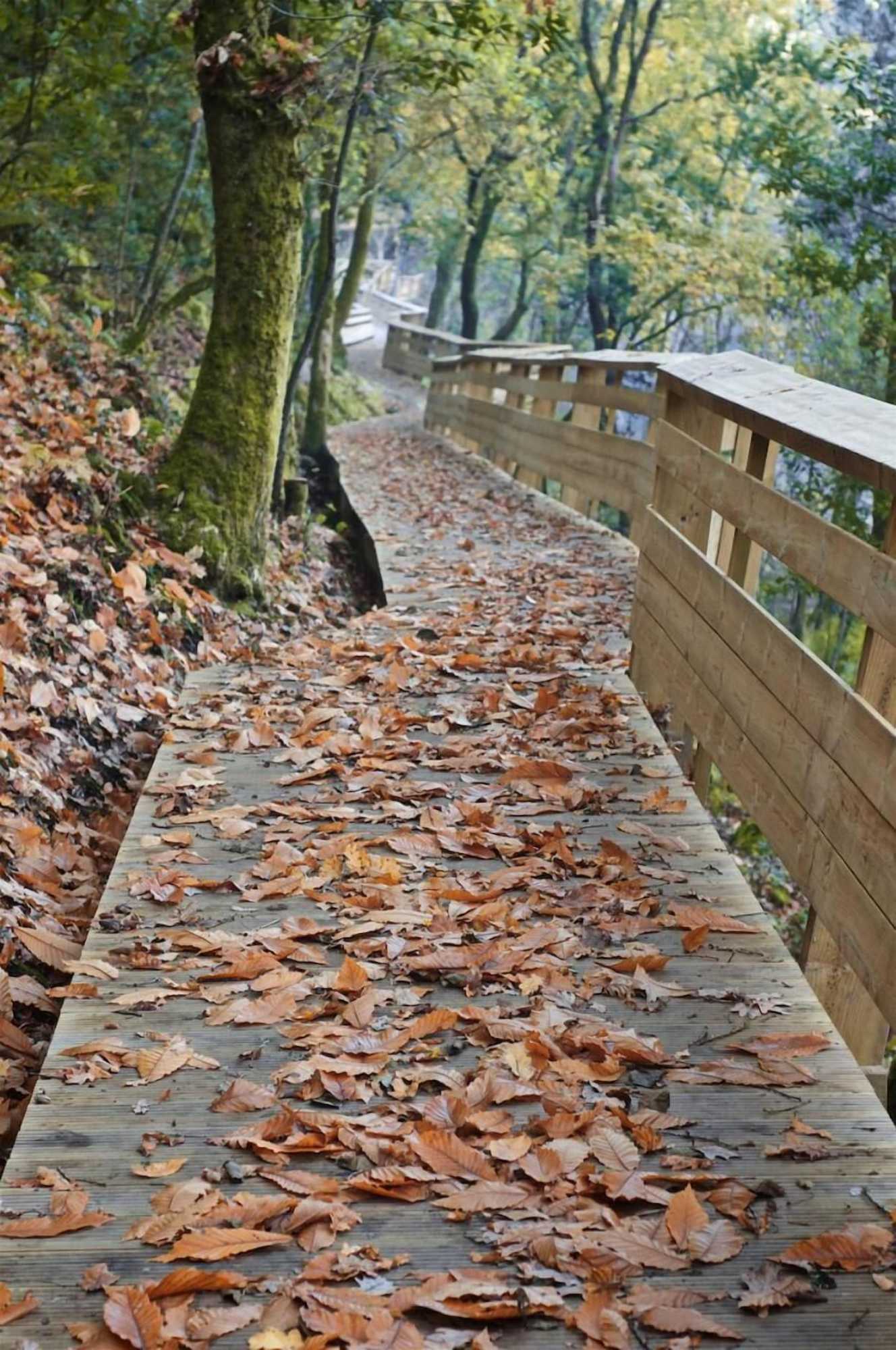 Gift card for Hotel Rural da Freita