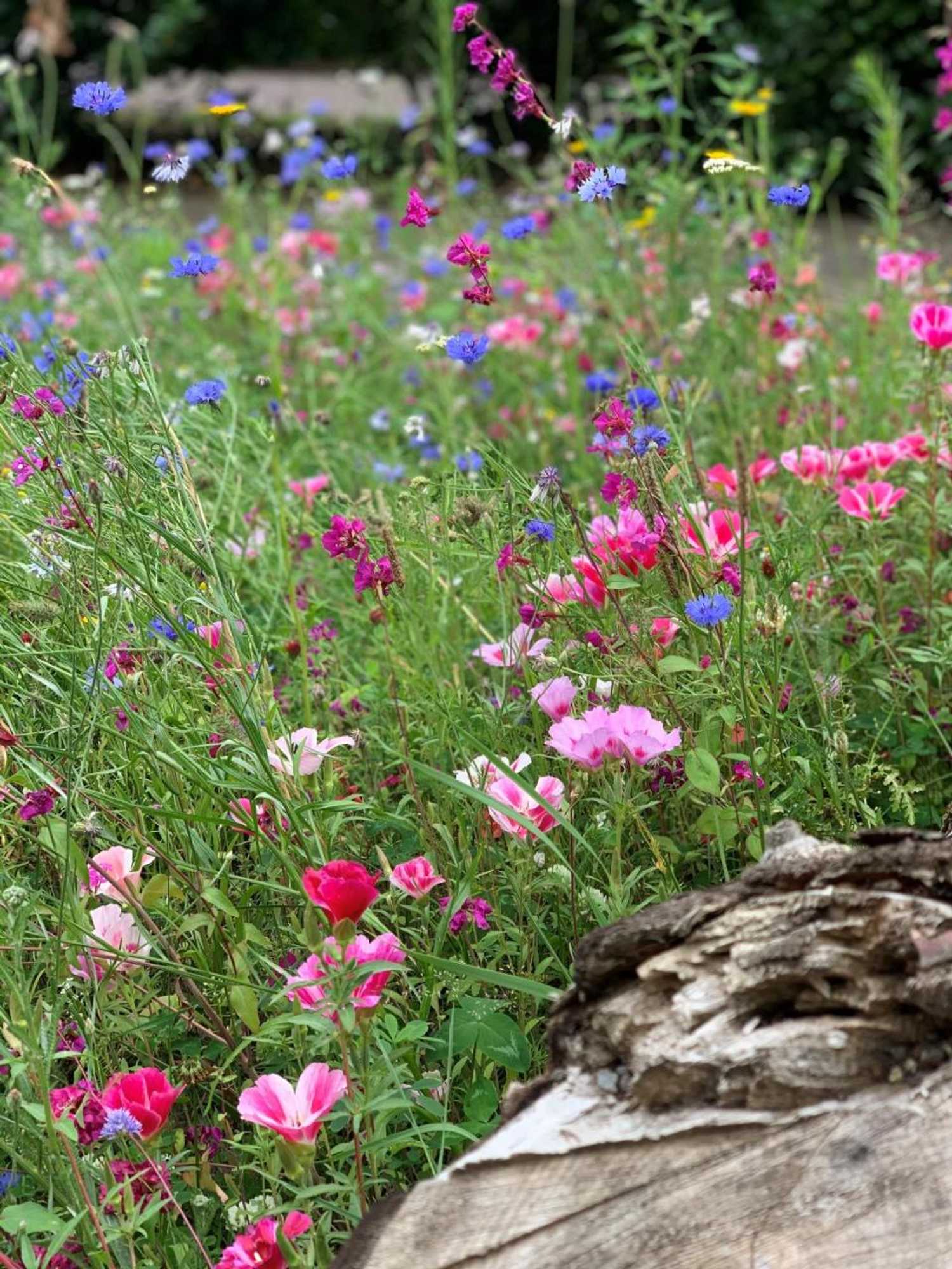 Gift card for Duynparc Soest