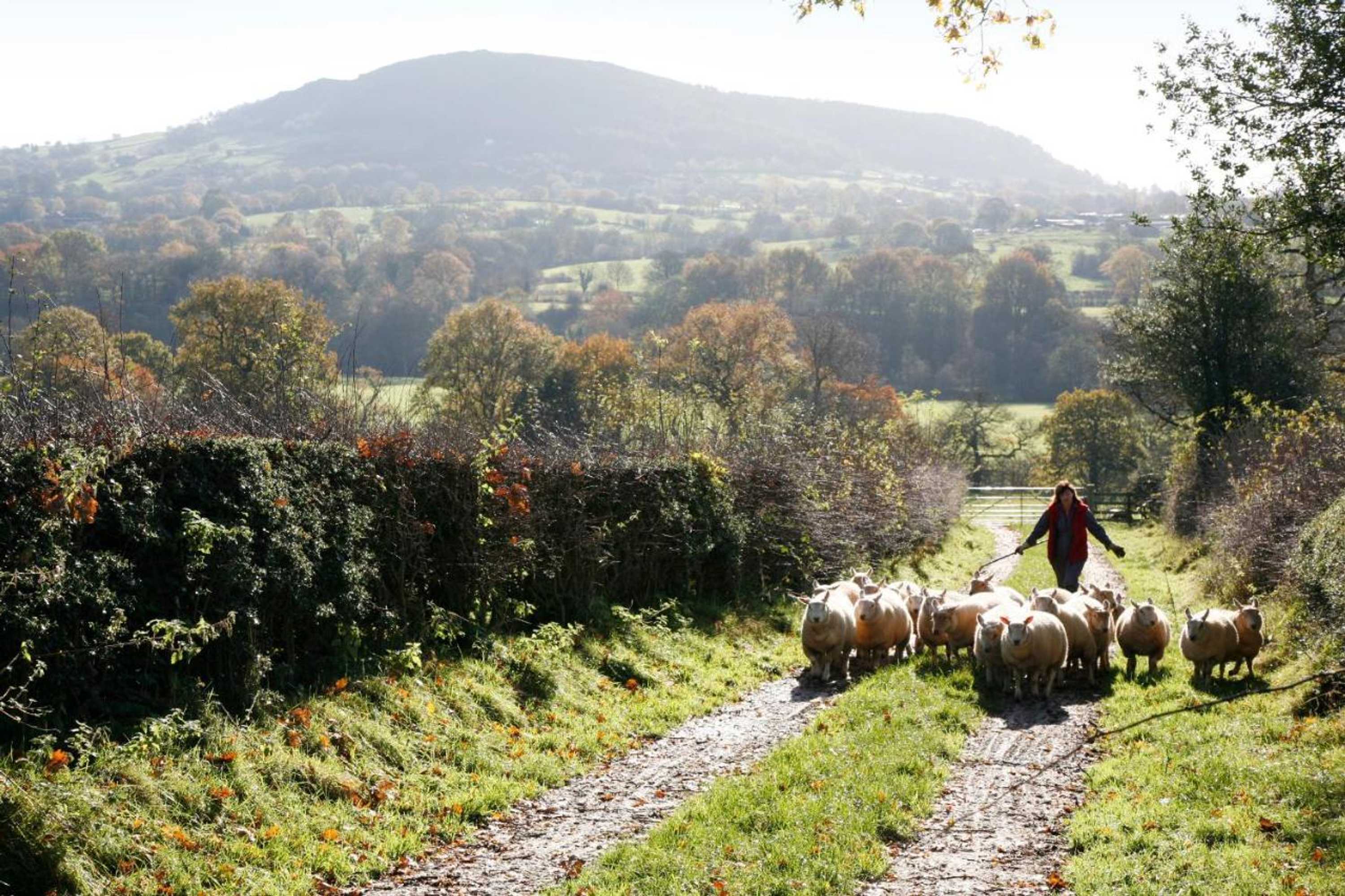 Gift card for Ladderstile Retreat