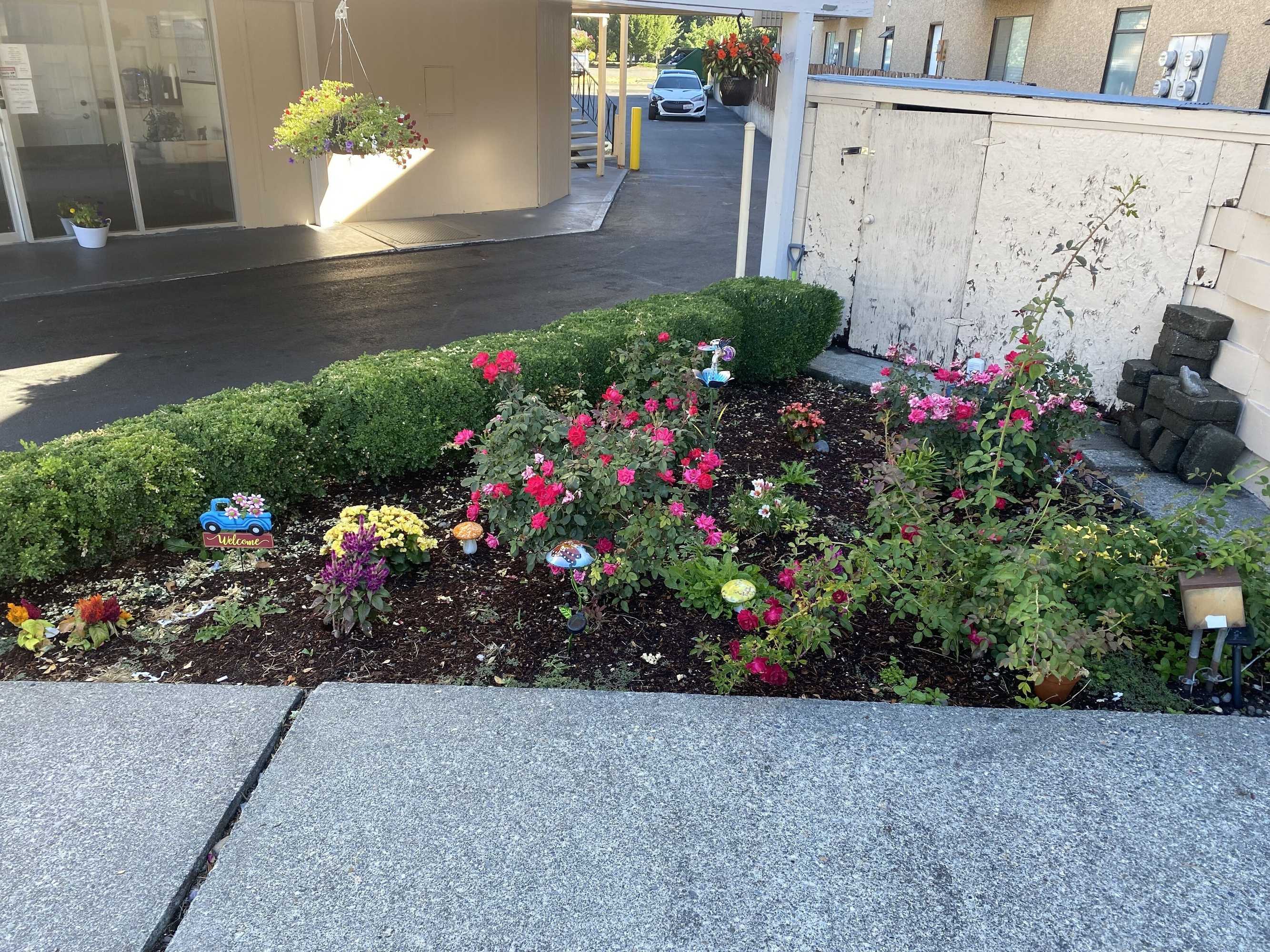 Gift card for Auburn Motel