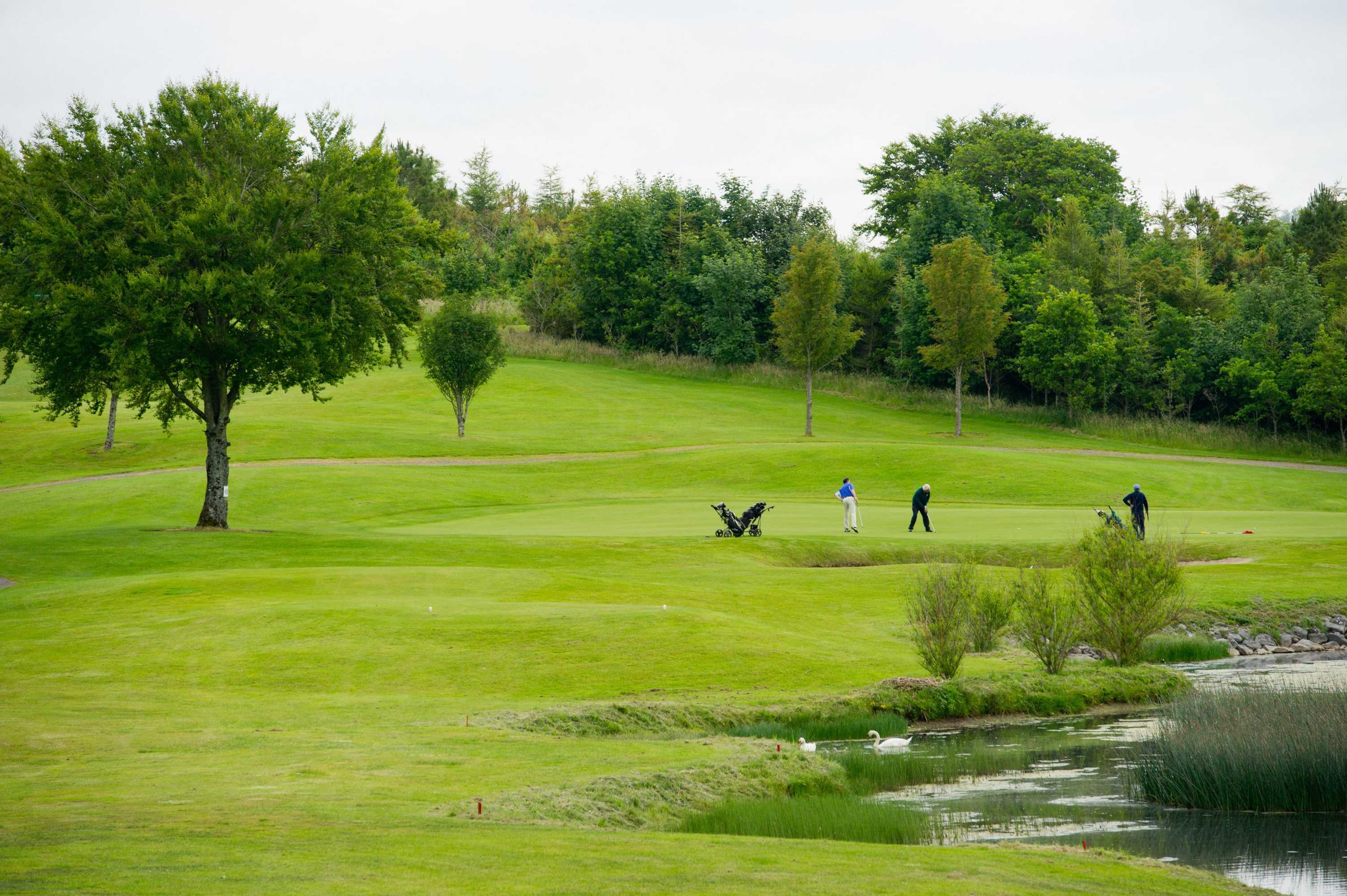 Gift card for Hotel Woodstock, an Ascend Hotel Collection Member