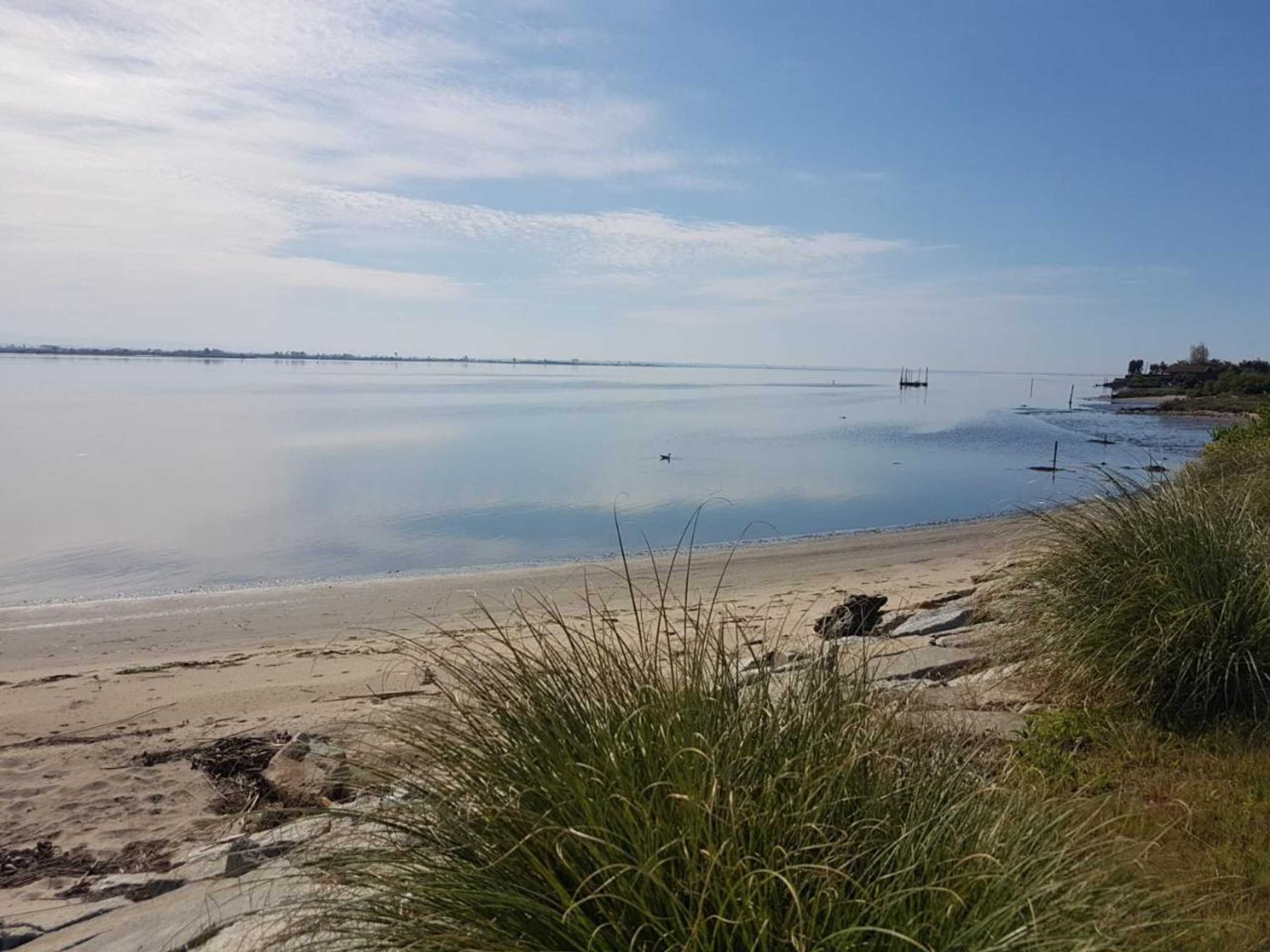 Gift card for See U Inn