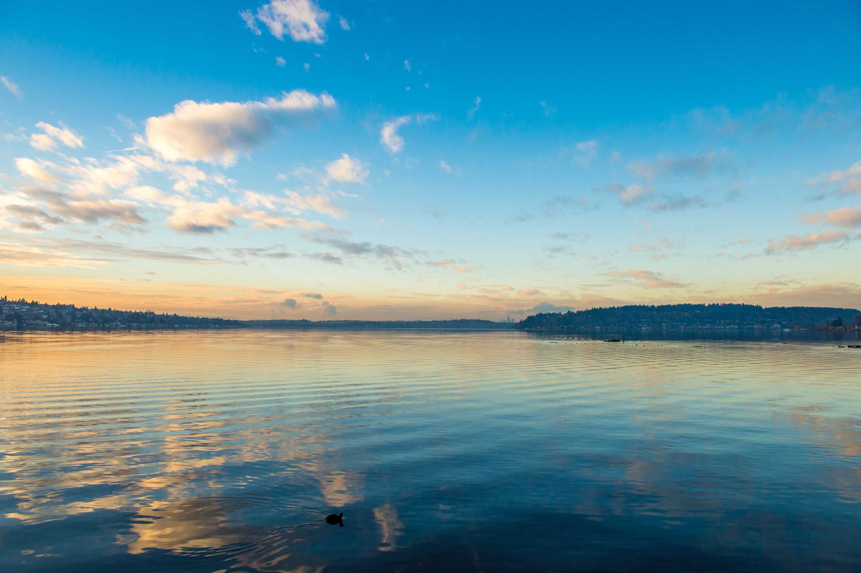 Gift card for Hyatt Regency Lake Washington at Seattle’s Southport