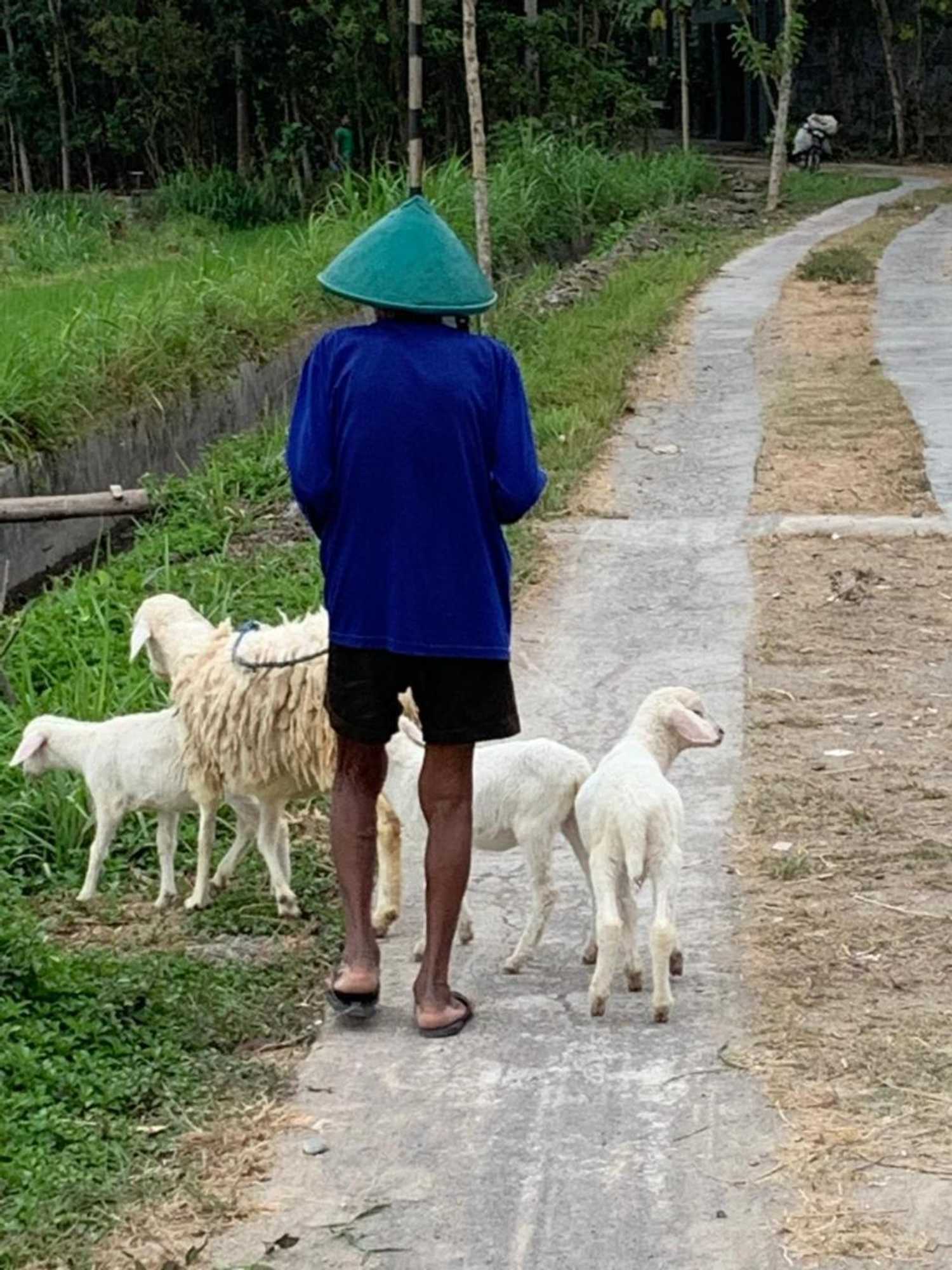 Gift card for Villa Kayu Yogyakarta