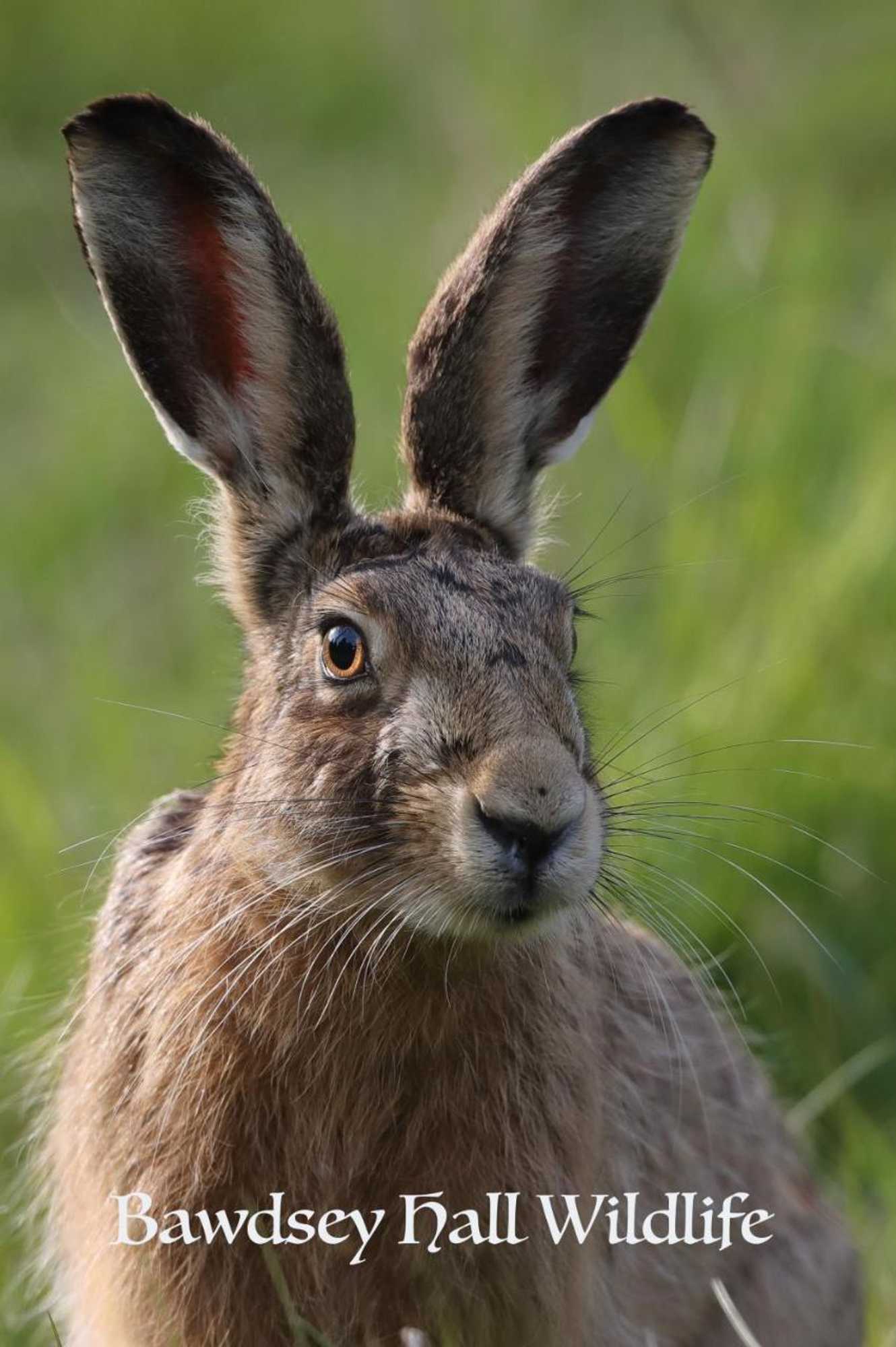 Gift card for Bawdsey Hall