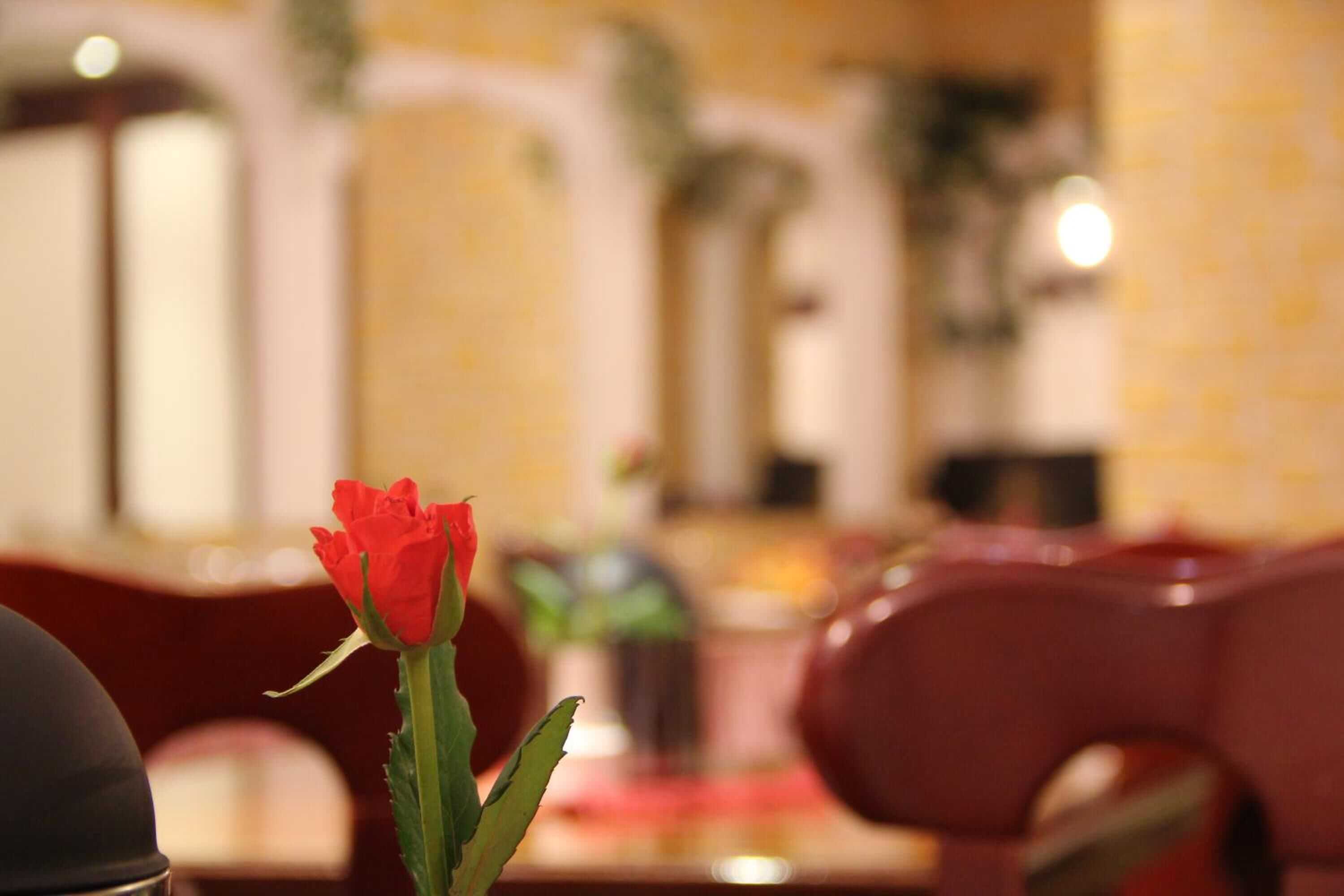 Gift card for Hotel Wali