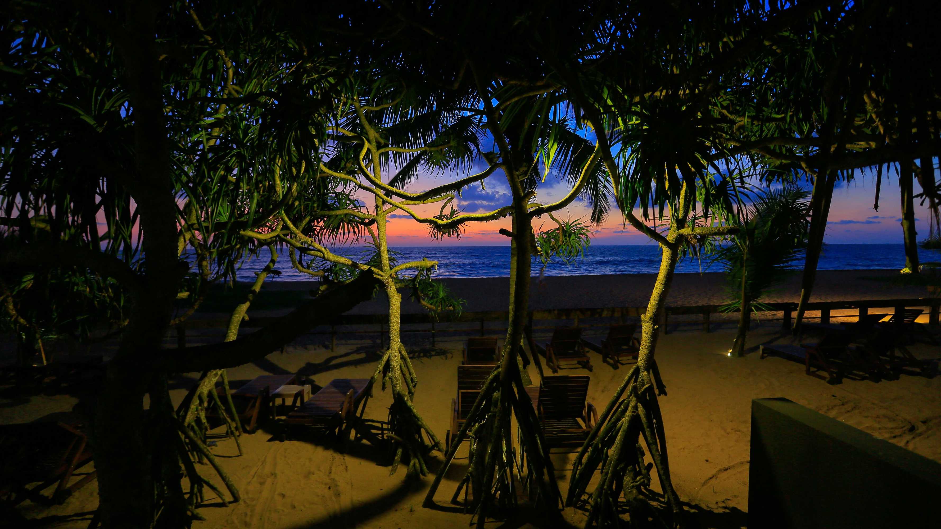 Gift card for Pandanus Beach Resort & Spa