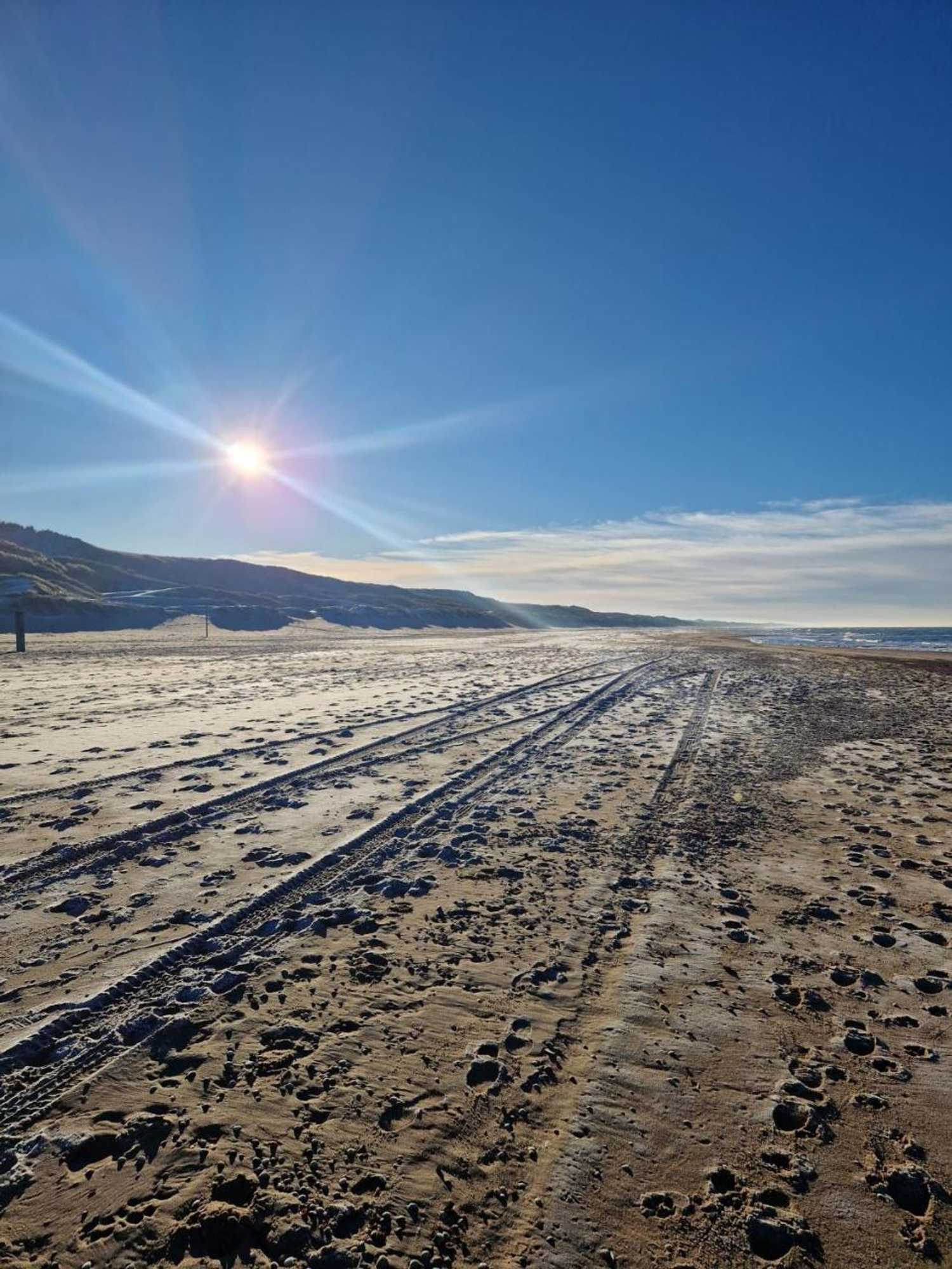 Gift card for Camping De Tulpenweide Kampeerplaats