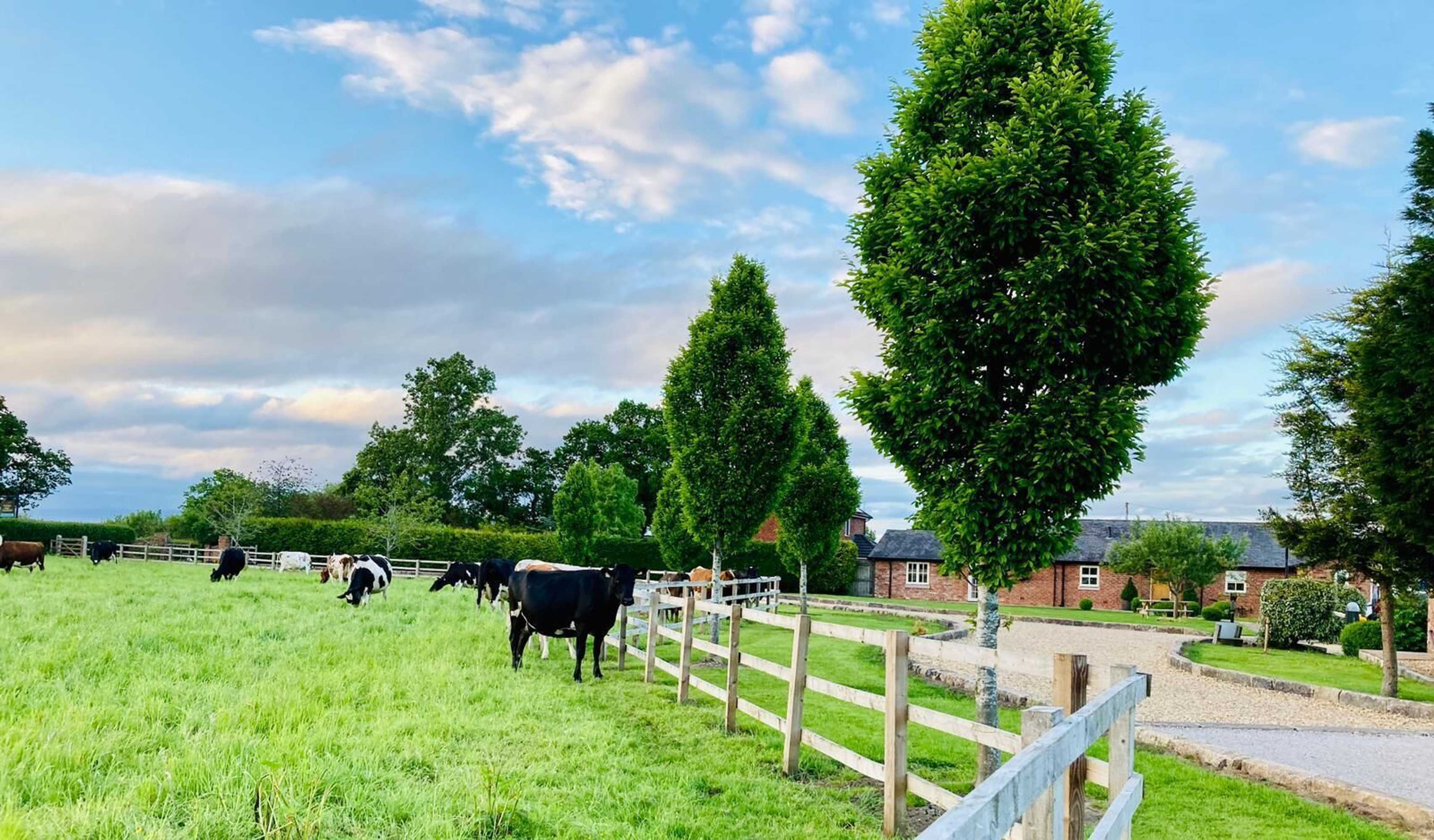 Gift card for New Farm Cheshire B&b