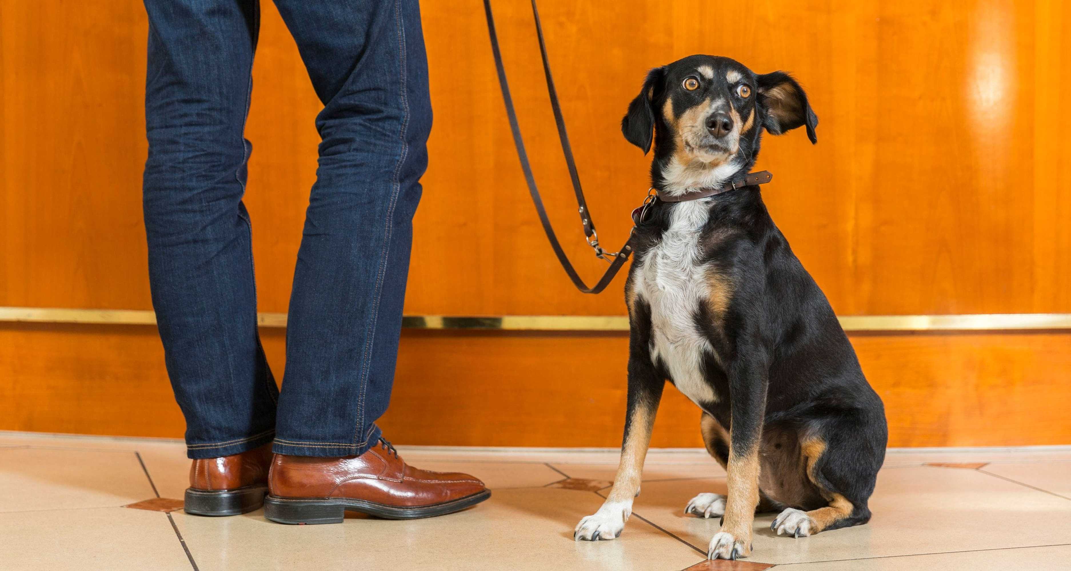 Gift card for Victor's  Residenz-Hotel Saarlouis