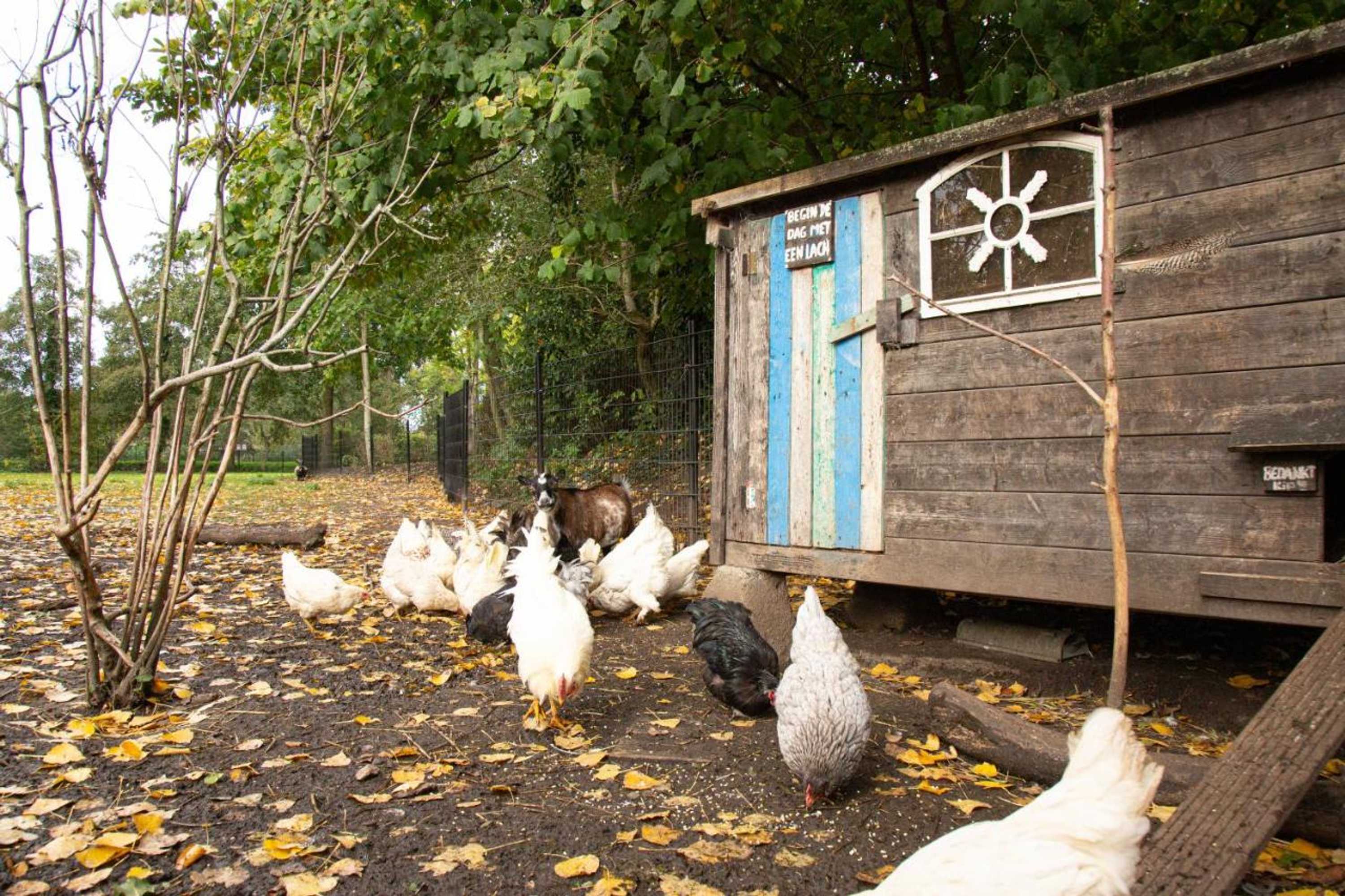 Gift card for Herberg de Appelgaard