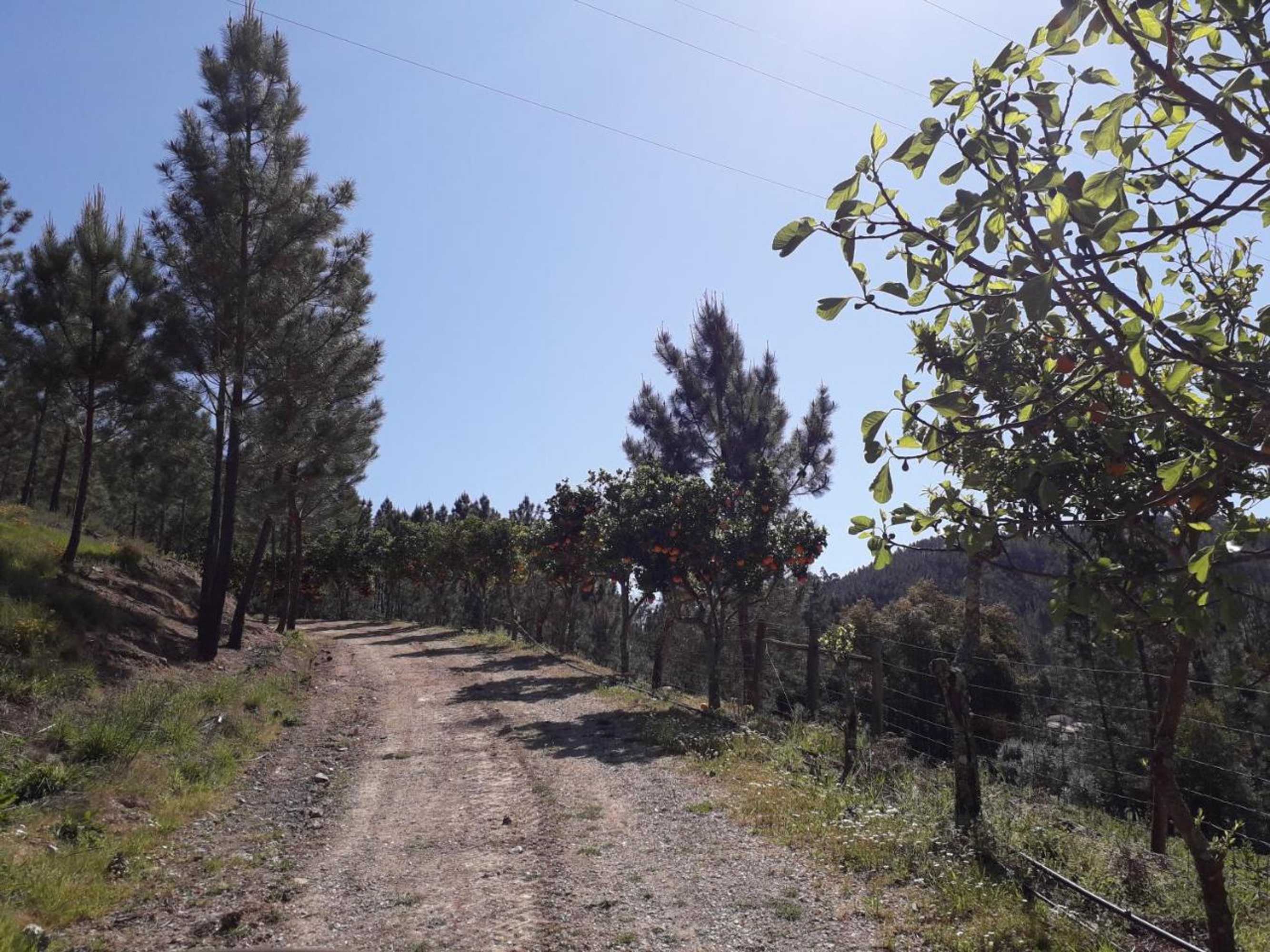 Gift card for Nossa Senhora do Pranto