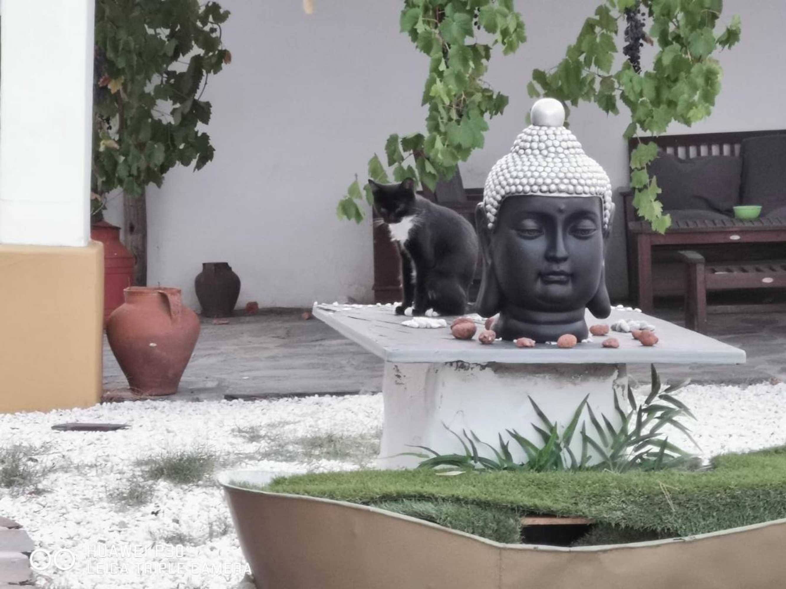 Gift card for Monte Dos Vicentes