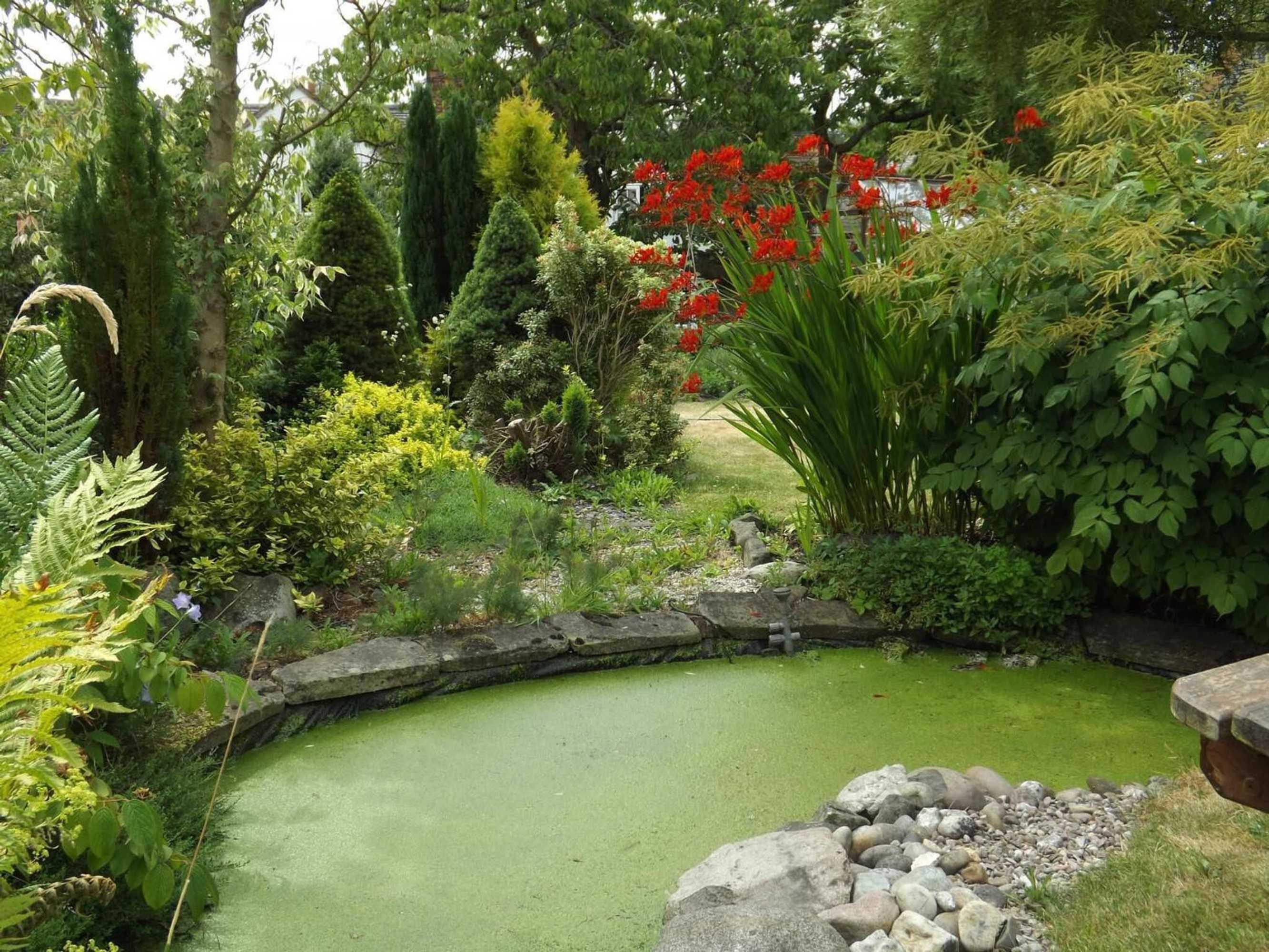 Gift card for White Cottage