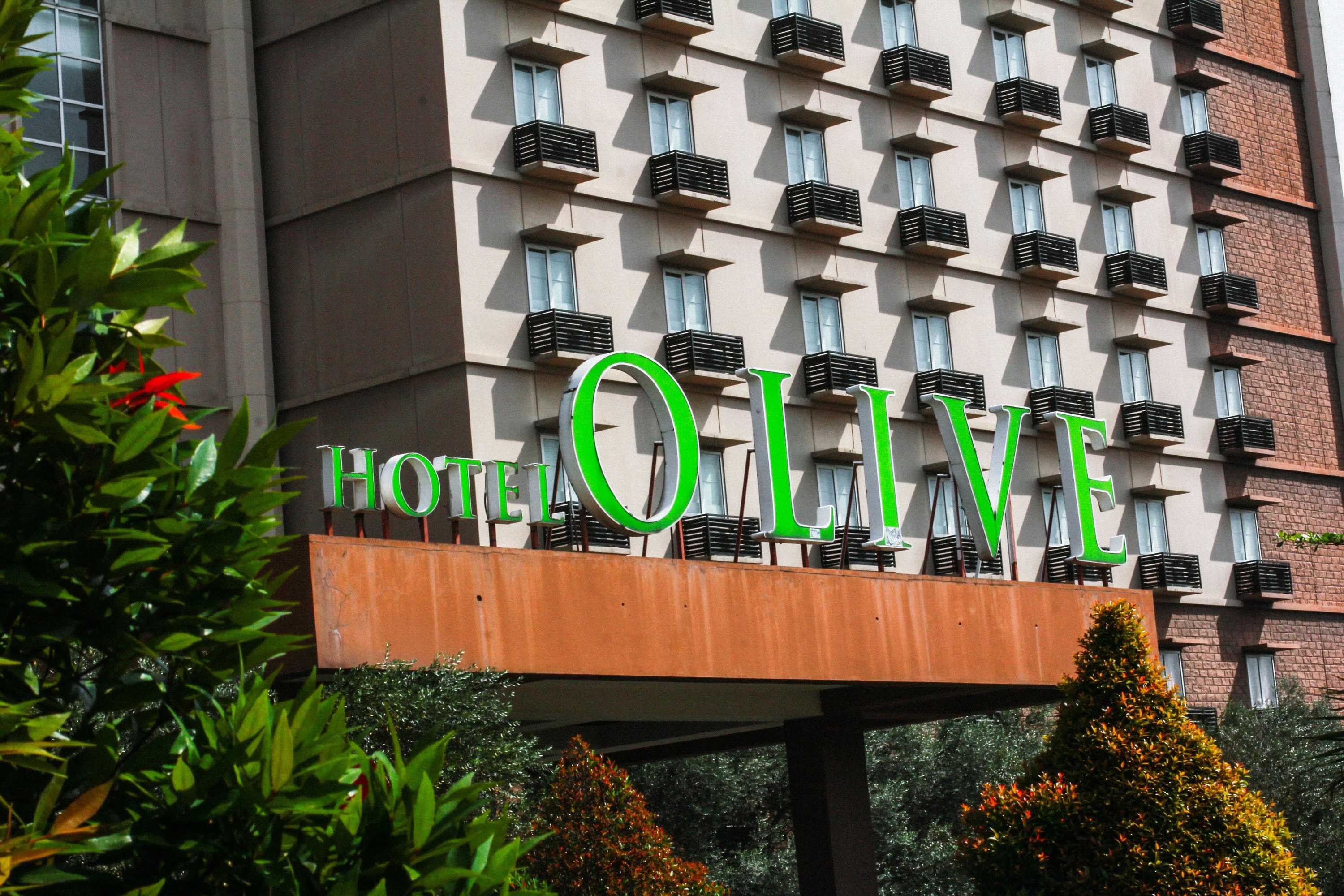 Gift card for Hotel Olive Gift card for Hotel Olive