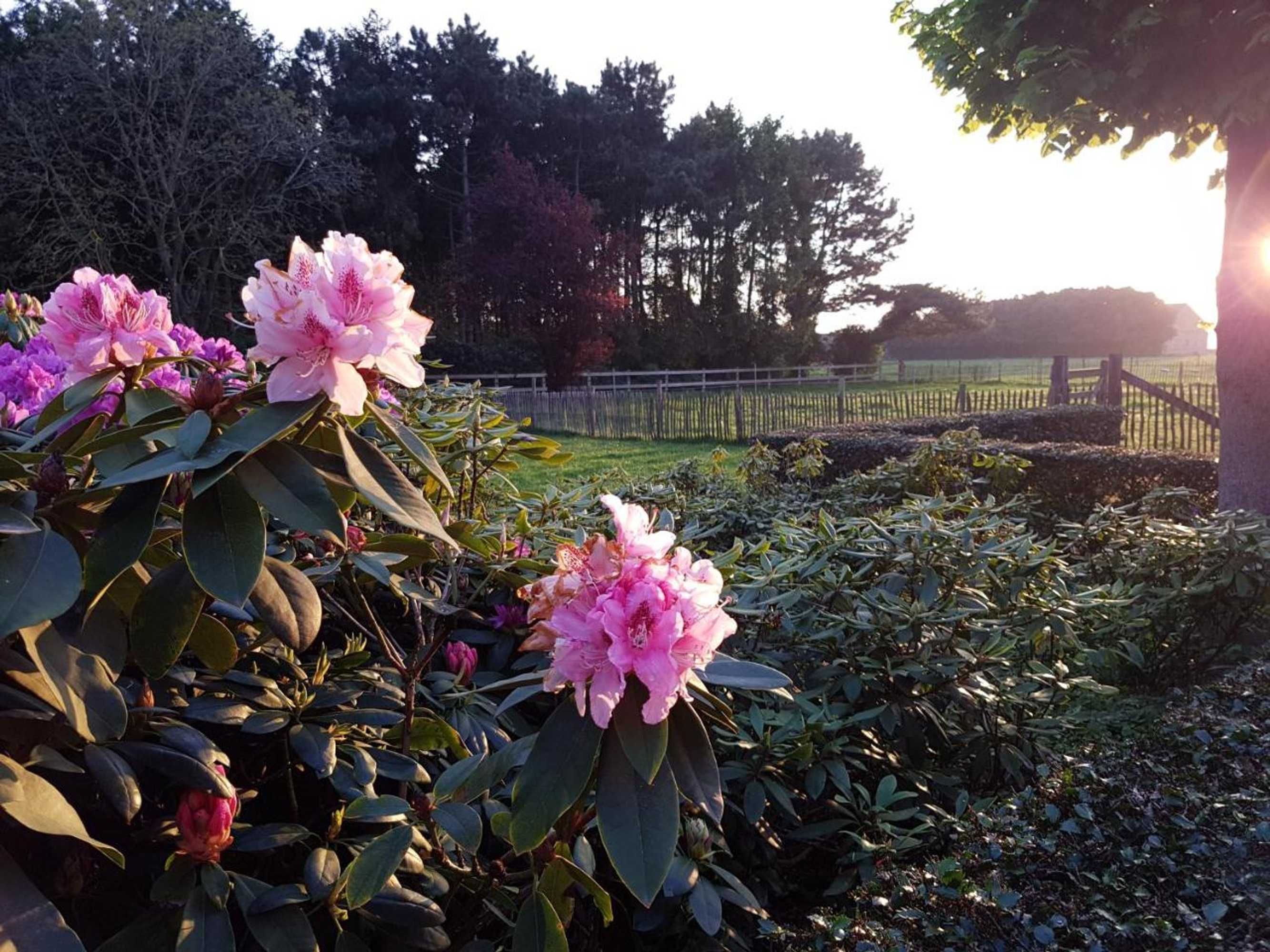 Gift card for B&b Bergenhof