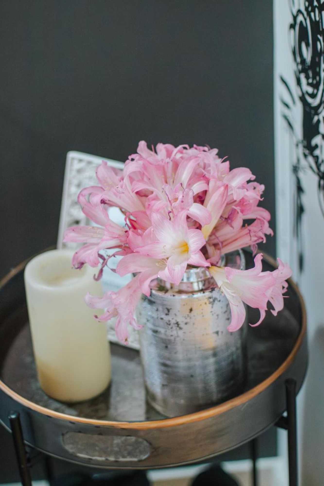 Gift card for Casa Luís de Camões - Boutique & Literary House