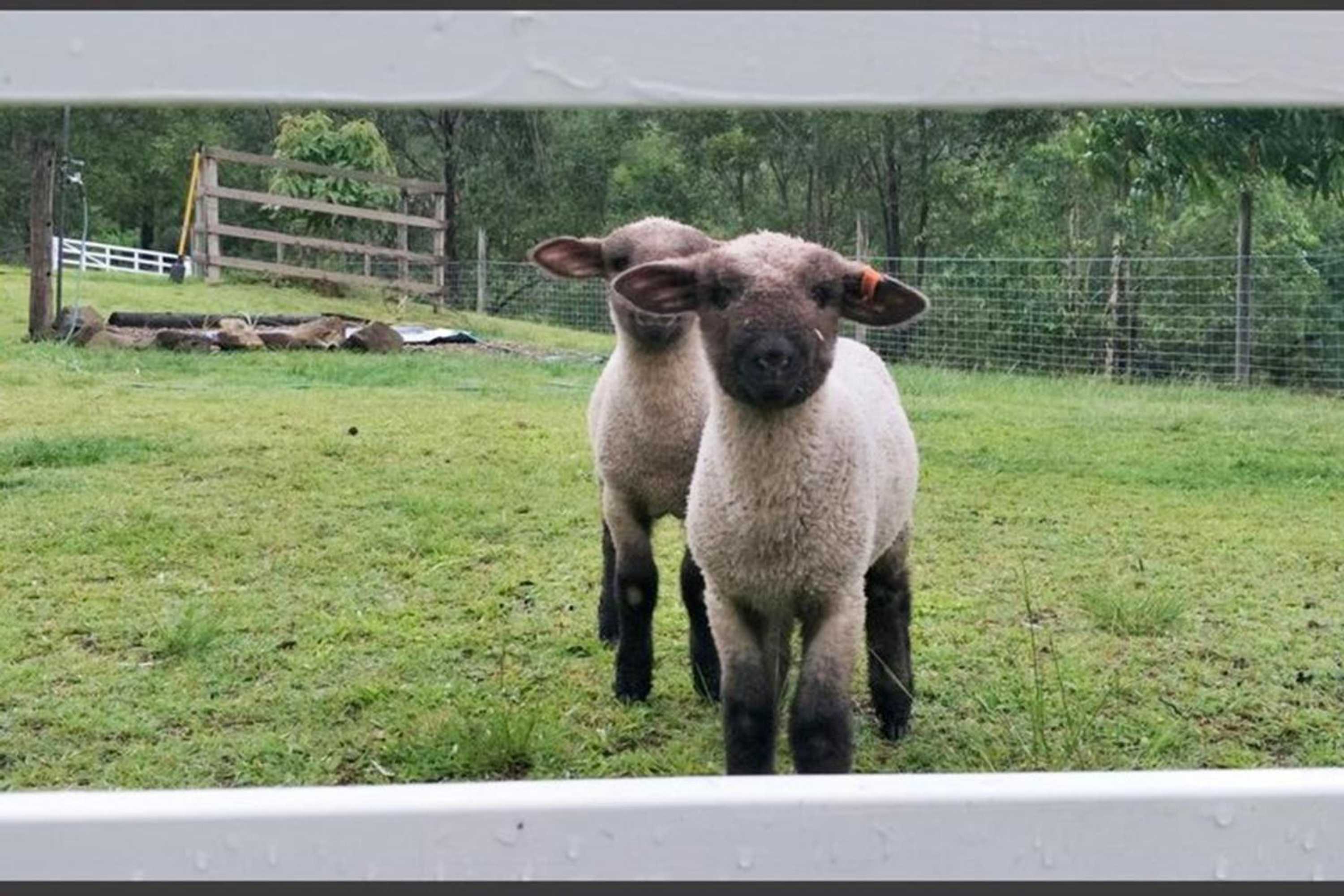 Gift card for Bielby's Hideaway