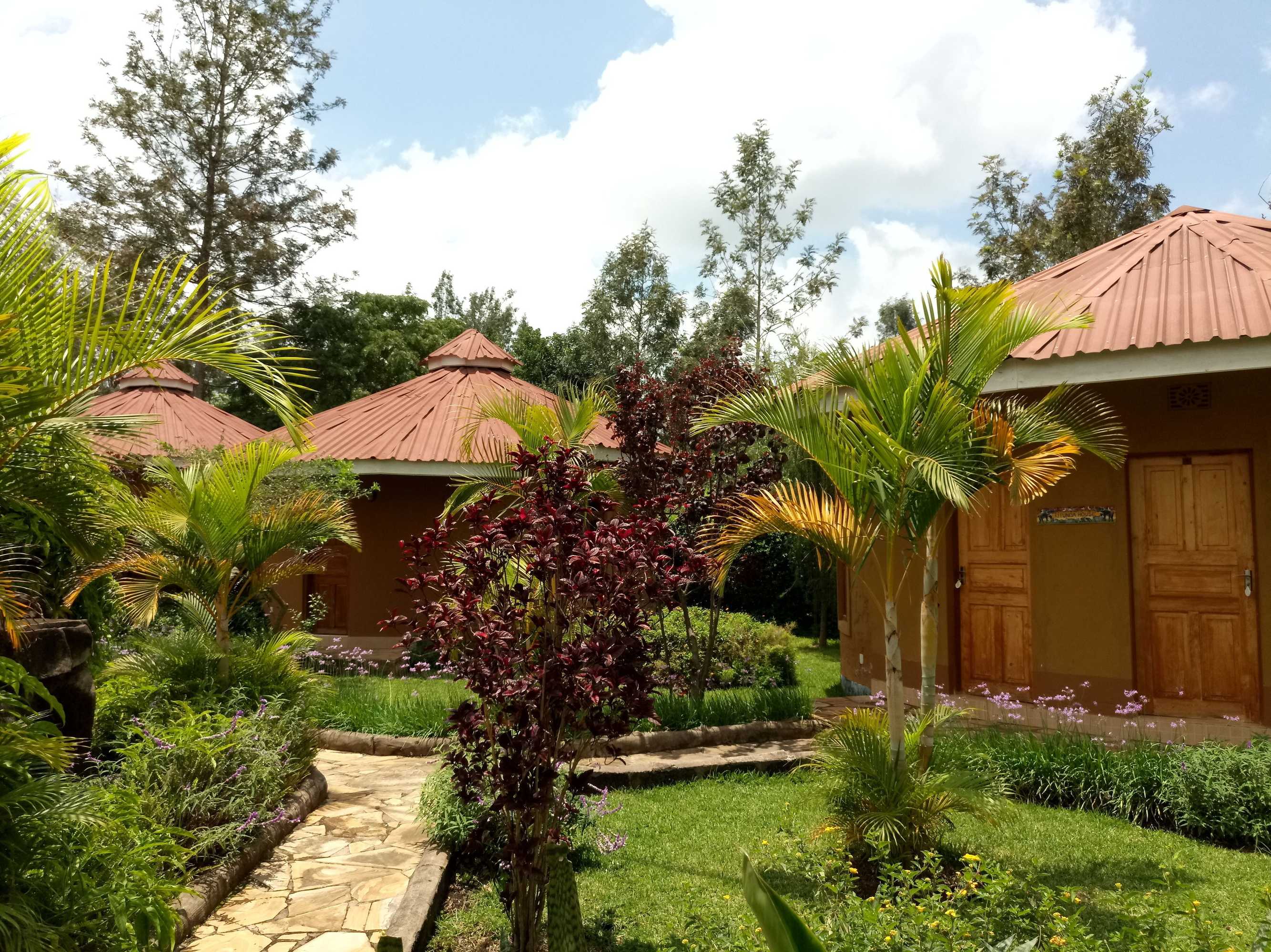 Gift card for Kilimanjaro Eco Lodge Gift card for Kilimanjaro Eco Lodge