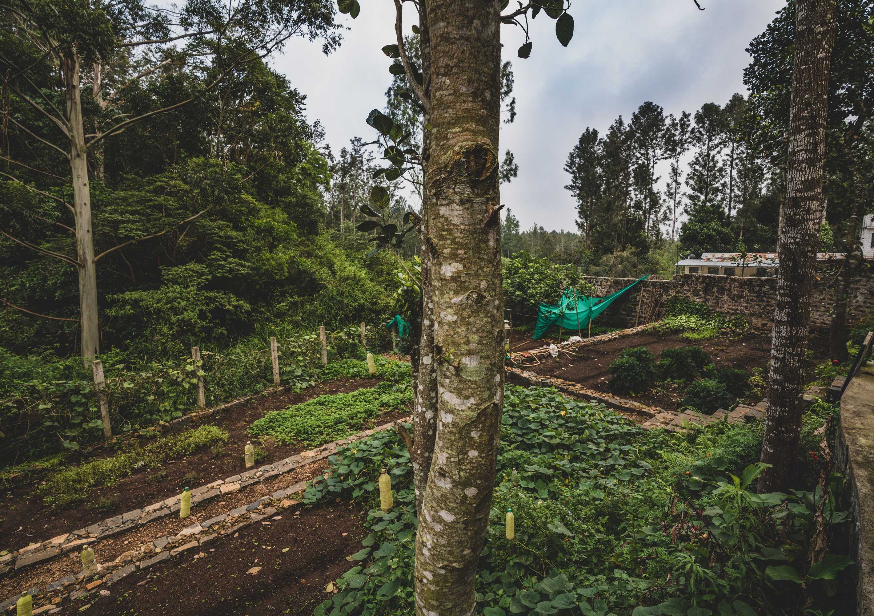 Gift card for Shambala Yercaud Gift card for Shambala Yercaud