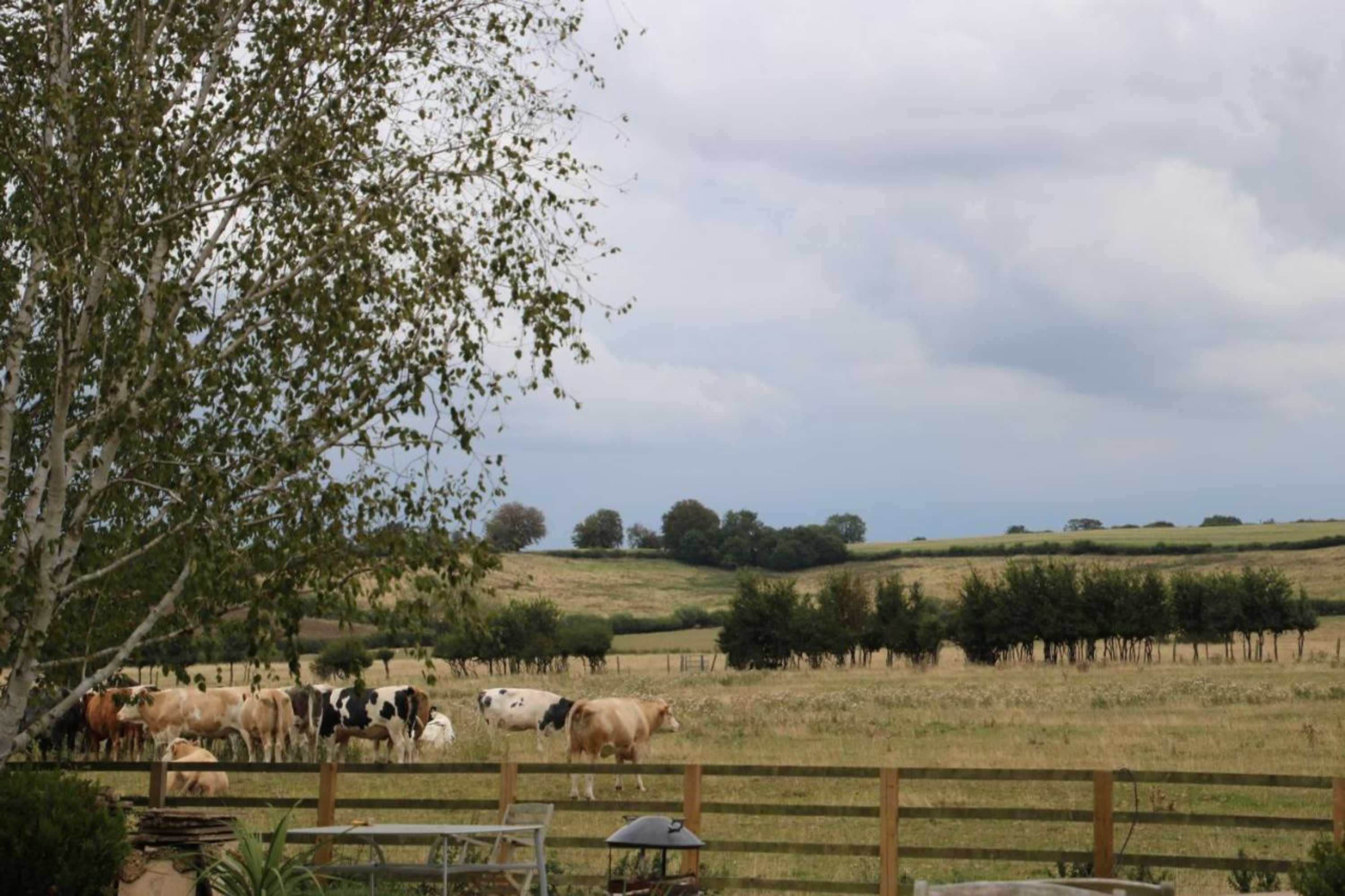 Gift card for The Stables Bed And Breakfast At Pear Tree Cottage