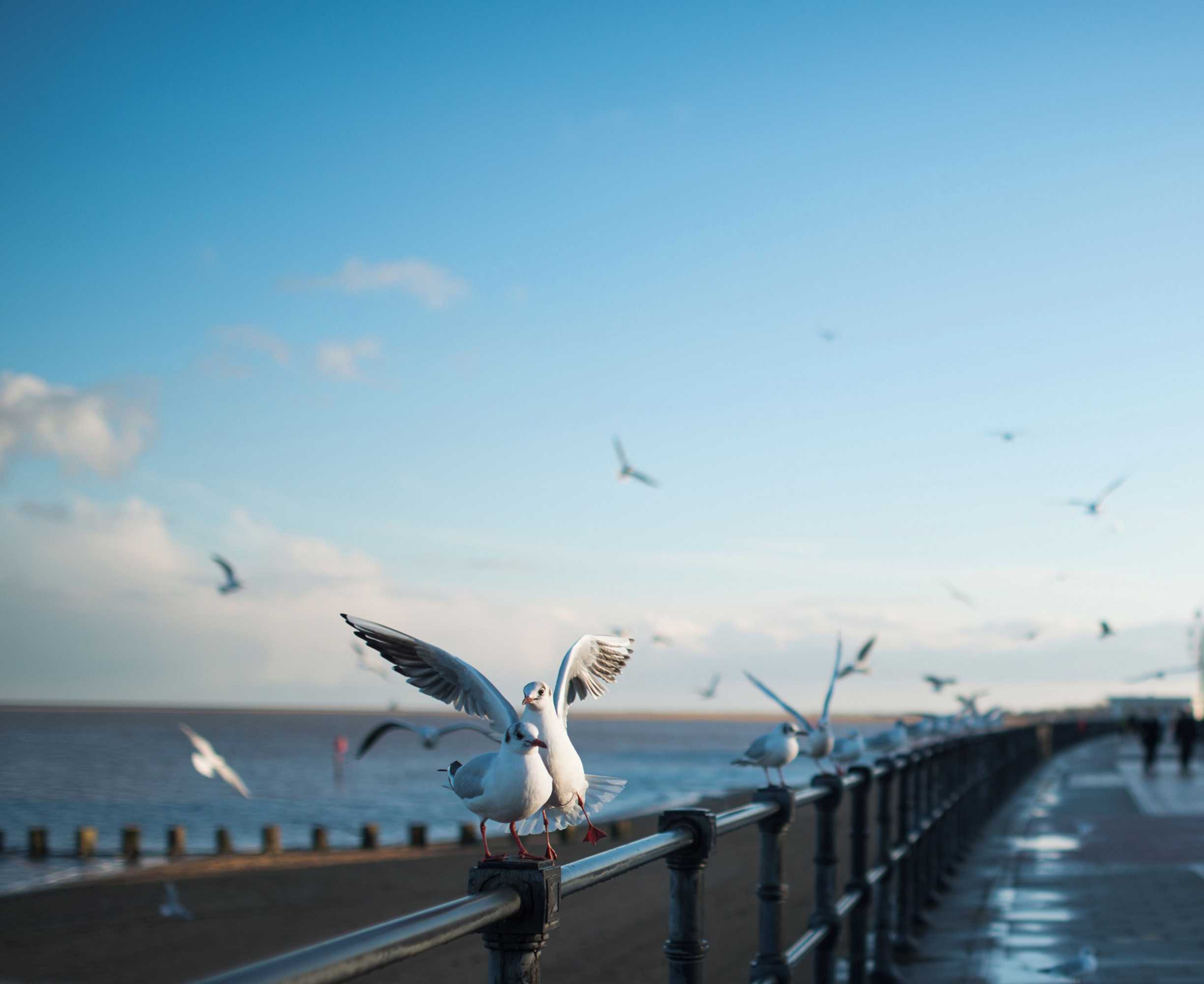 Gift card for Holiday Inn Express Grimsby by Ihg