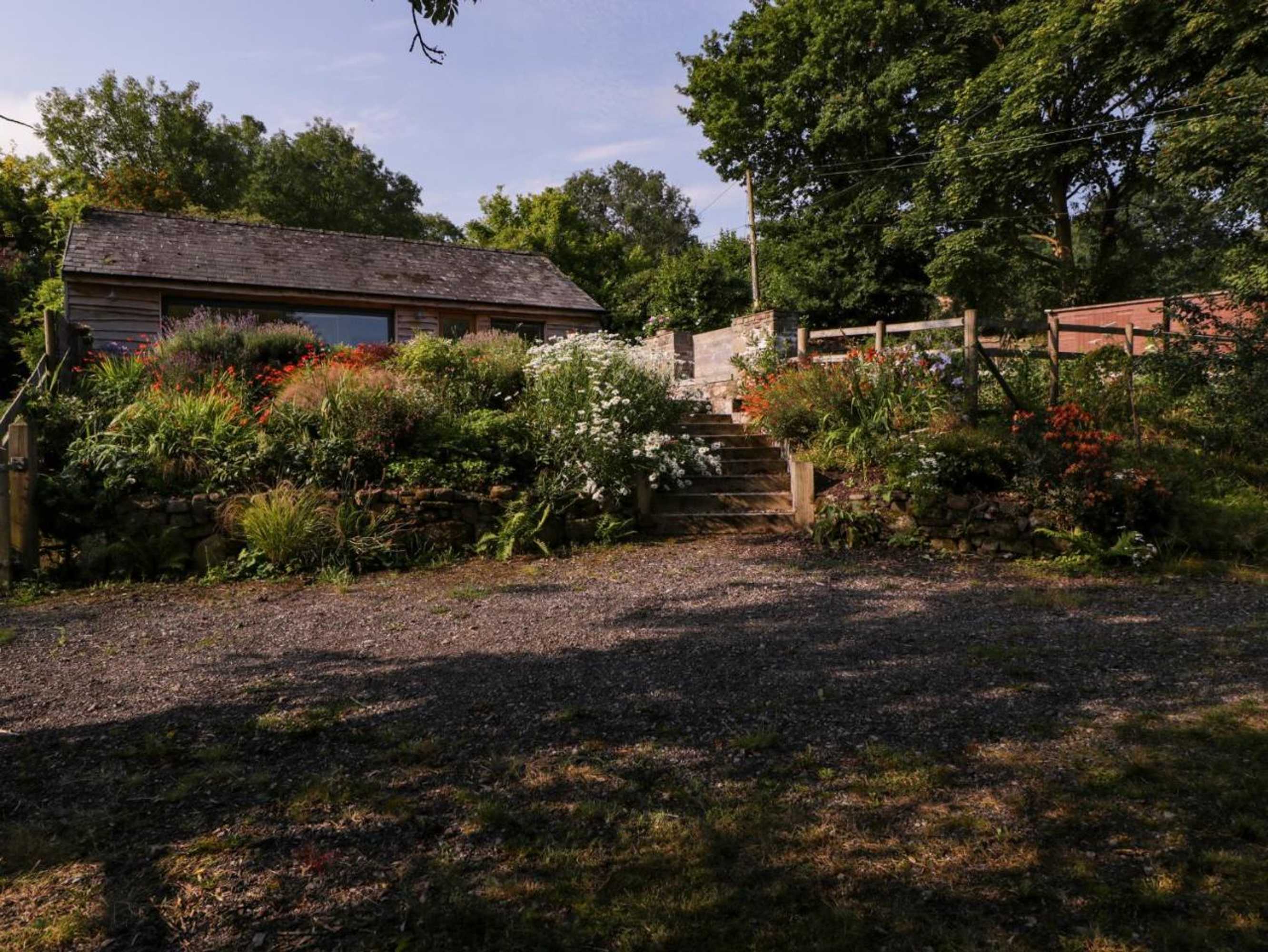 Gift card for Black Cat Bach