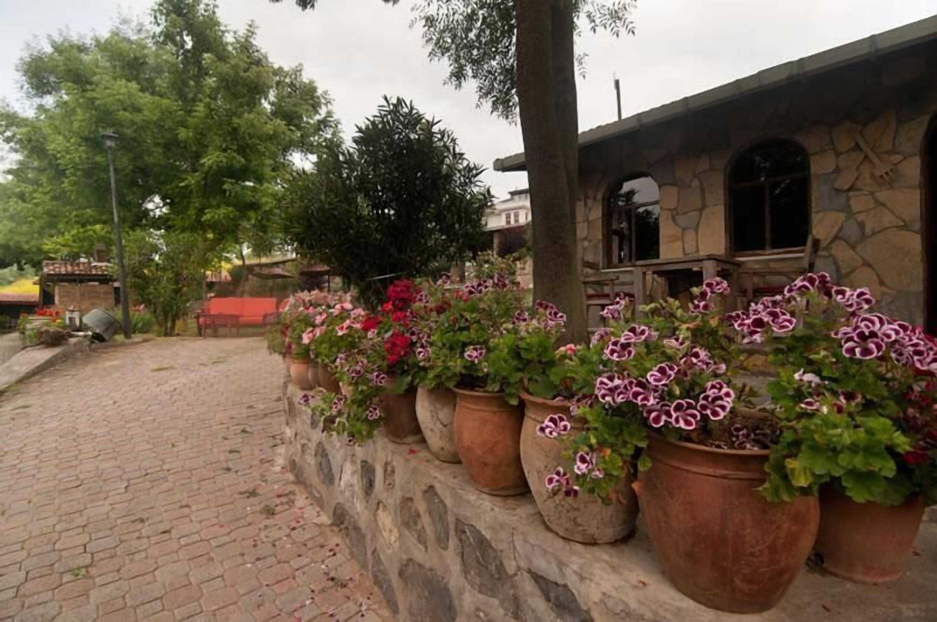 Gift card for Fener Motel