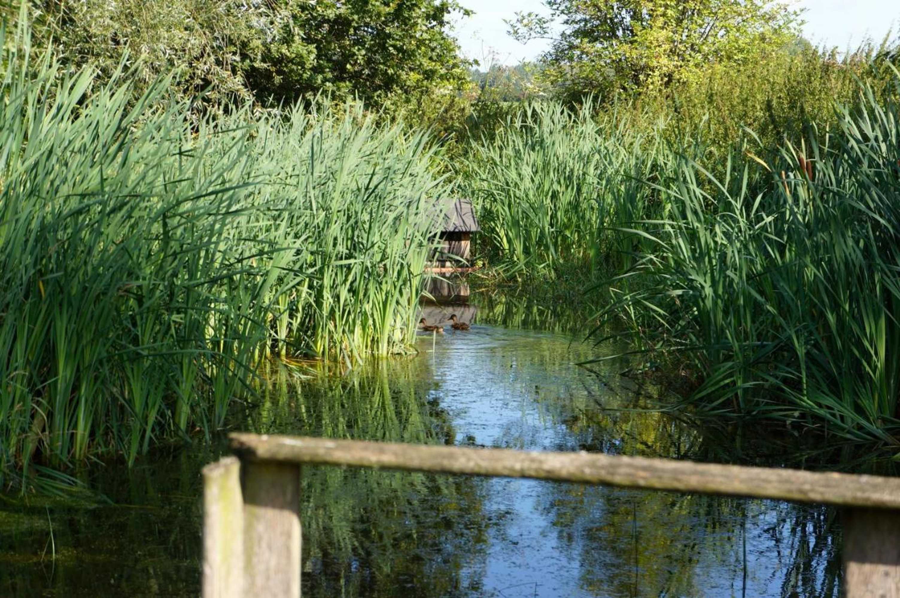 Gift card for Ferienwohnung Haumannshof